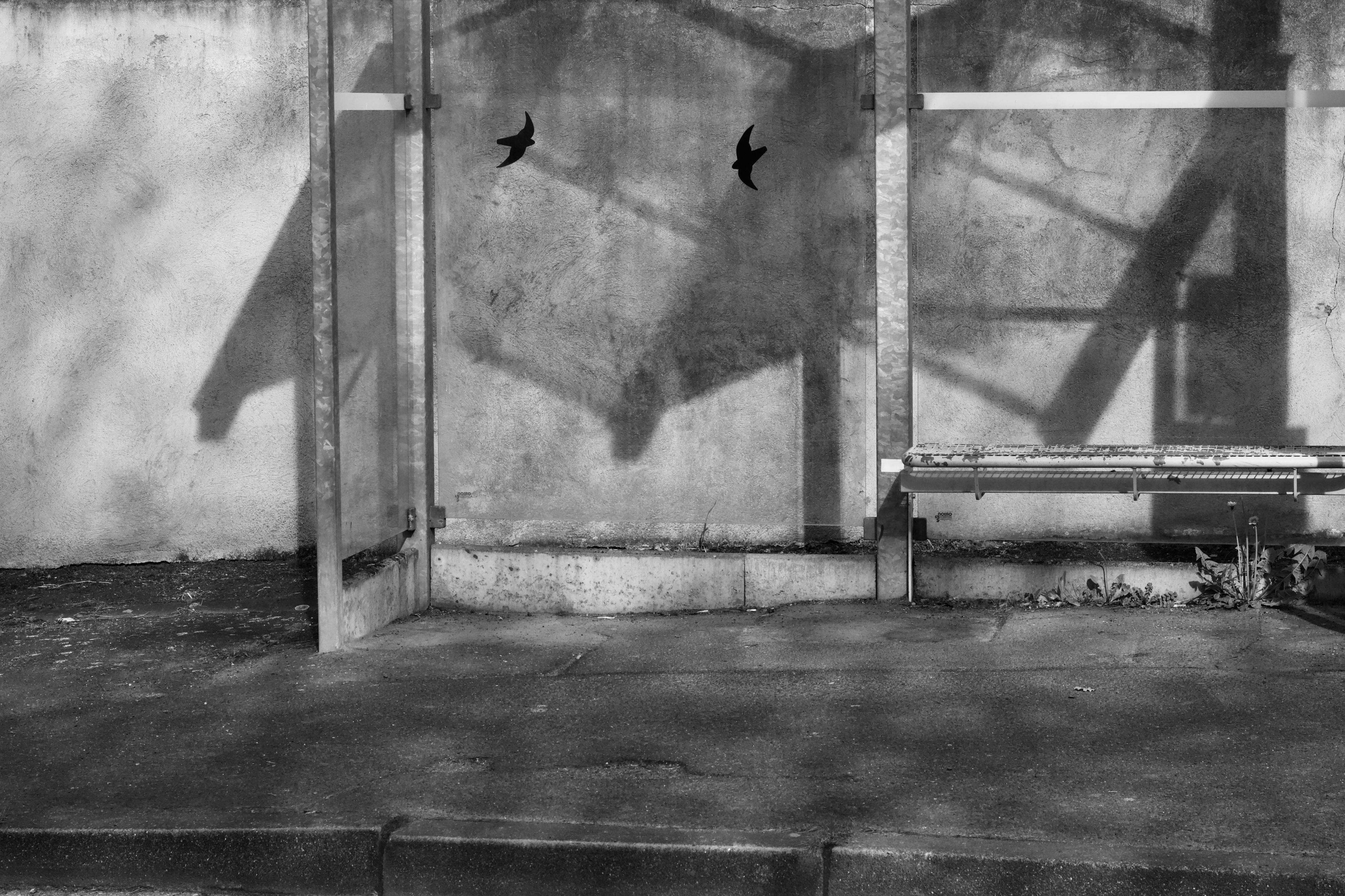 Gratis Immagine monocromatica di una fermata dell'autobus vuota con ombre di uccelli sul muro. Foto a disposizione