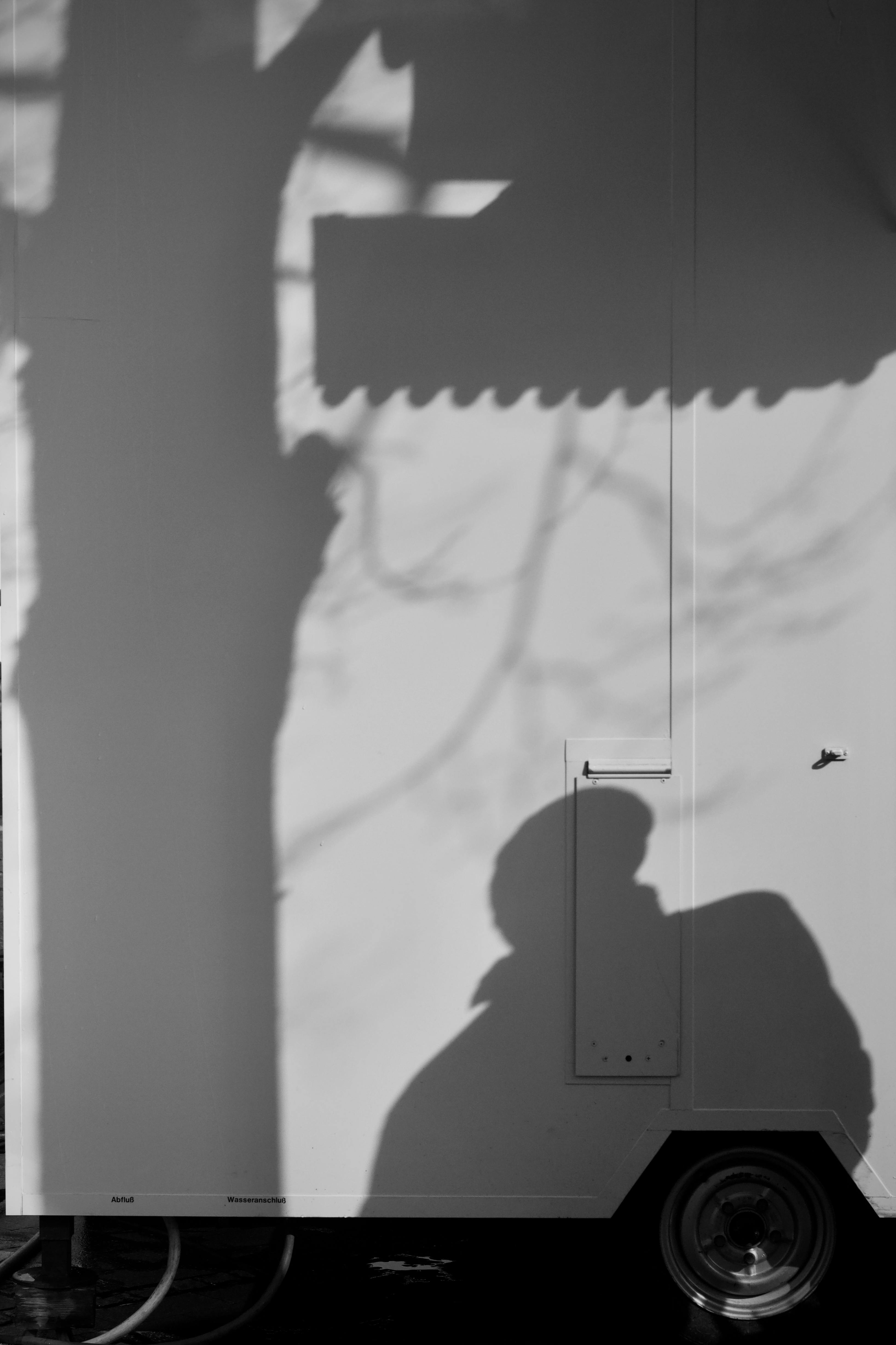 Gratis Sort-hvidt billede, der viser skyggen af ​​en person og et træ på en væg, hvilket fremkalder mystik. Lagerfoto