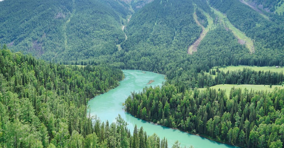 Liste des pays par superficie : Top 10 des plus grands pays