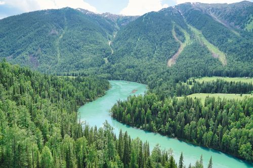 Free Aerial view of green river winding through lush forested mountains in summer. Stock Photo