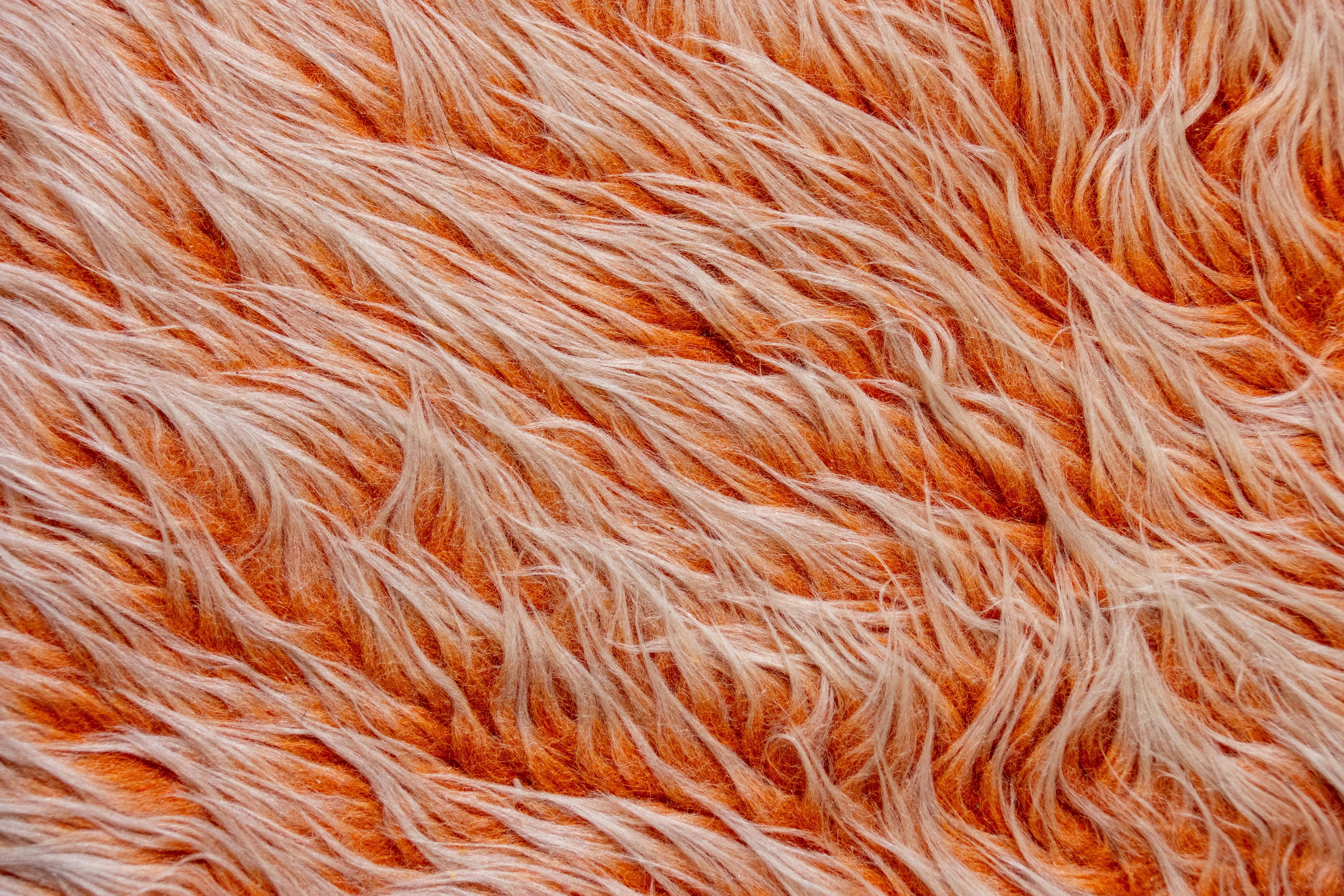 Δωρεάν Μακροσκοπική λήψη ενός αφράτου, πορτοκαλί υφάσματος με περίπλοκες ίνες. Φωτογραφία από στοκ φωτογραφιών