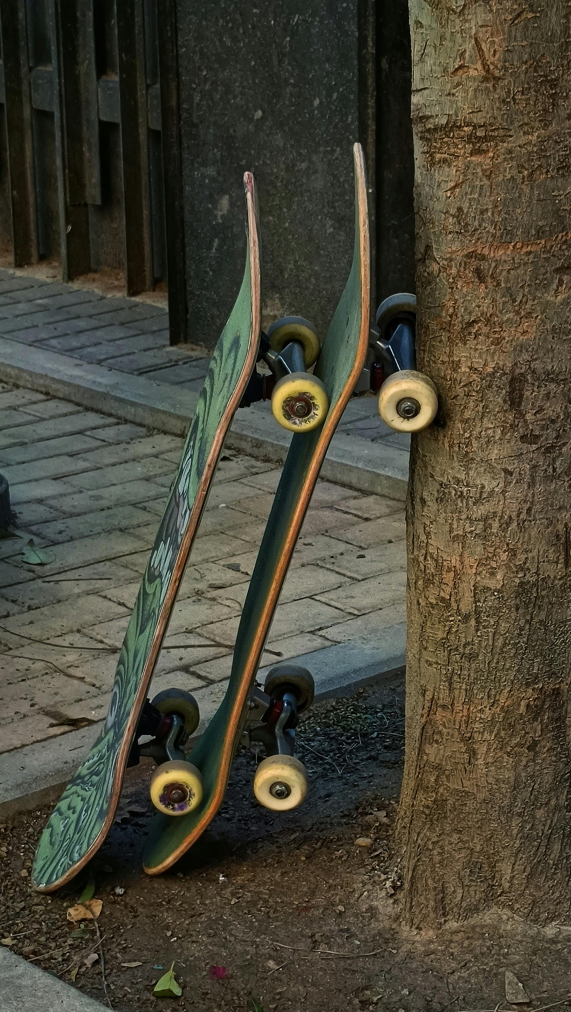 Gratis Immagine gratuita di albero, ambiente, attività Foto a disposizione