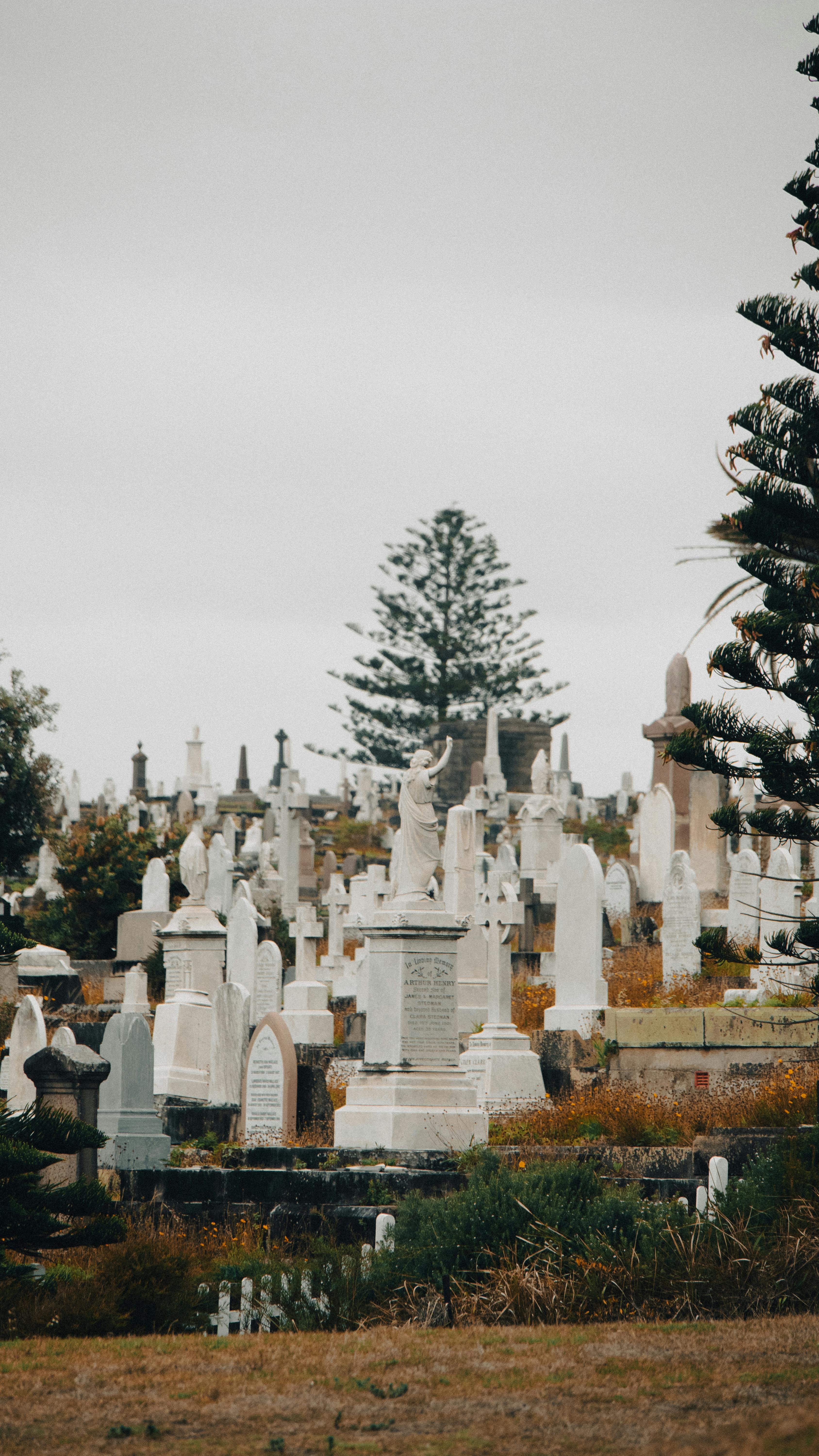 grátis Um cemitério tranquilo, repleto de lápides históricas e vegetação exuberante, em Sydney. Foto profissional