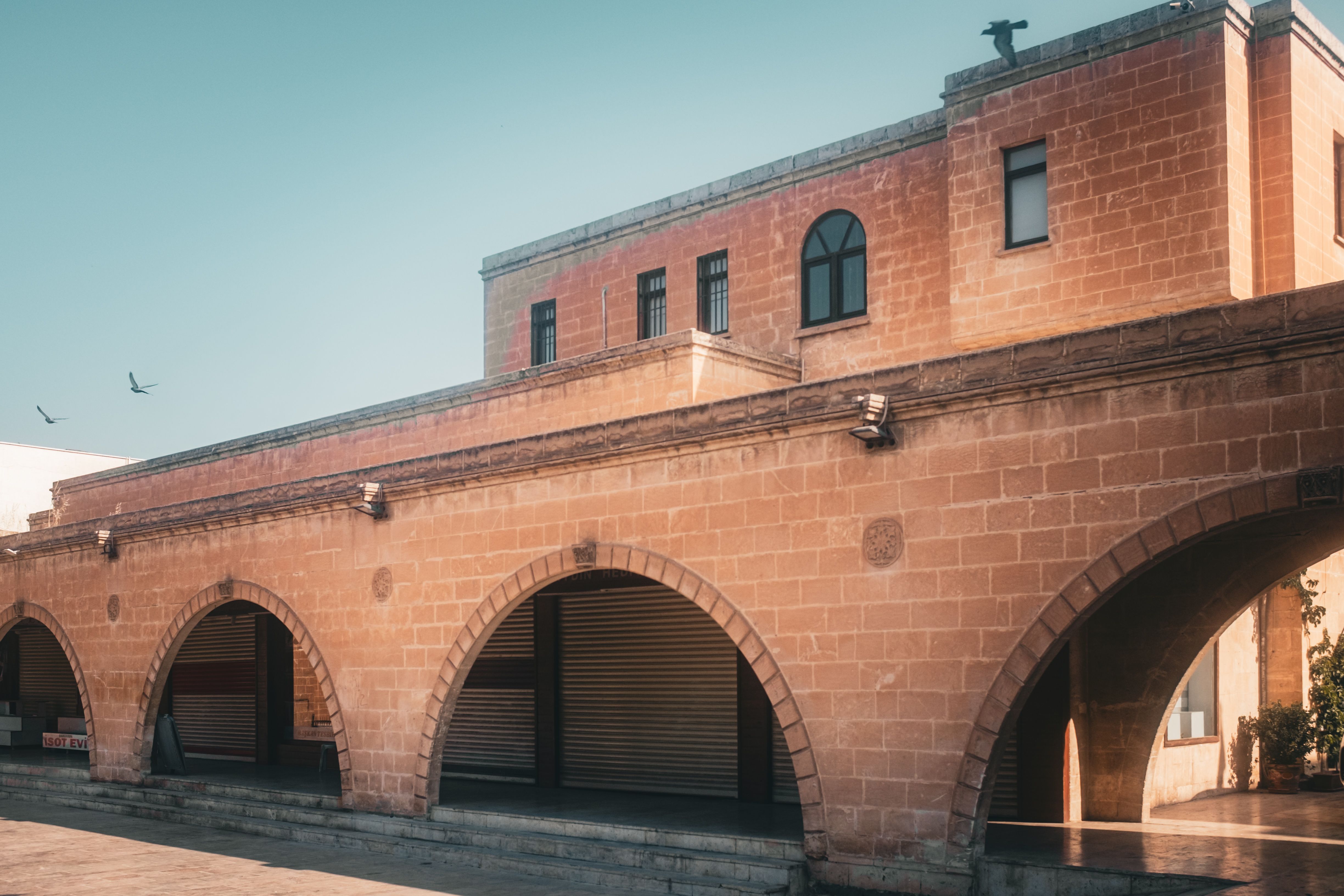 Photos: Center for Creative Photography announces acquisition of nine photography archives — Photo by Aysegul Aytoren on Pexe