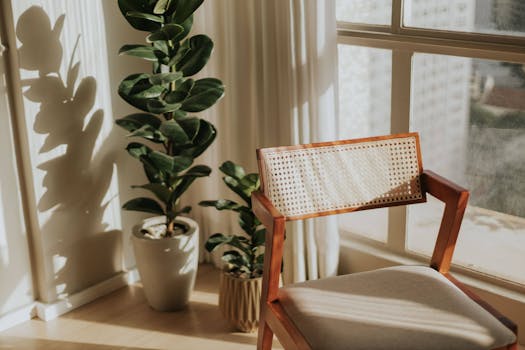 Modern interior with a wooden chair and lush green plants by a sunlit window.