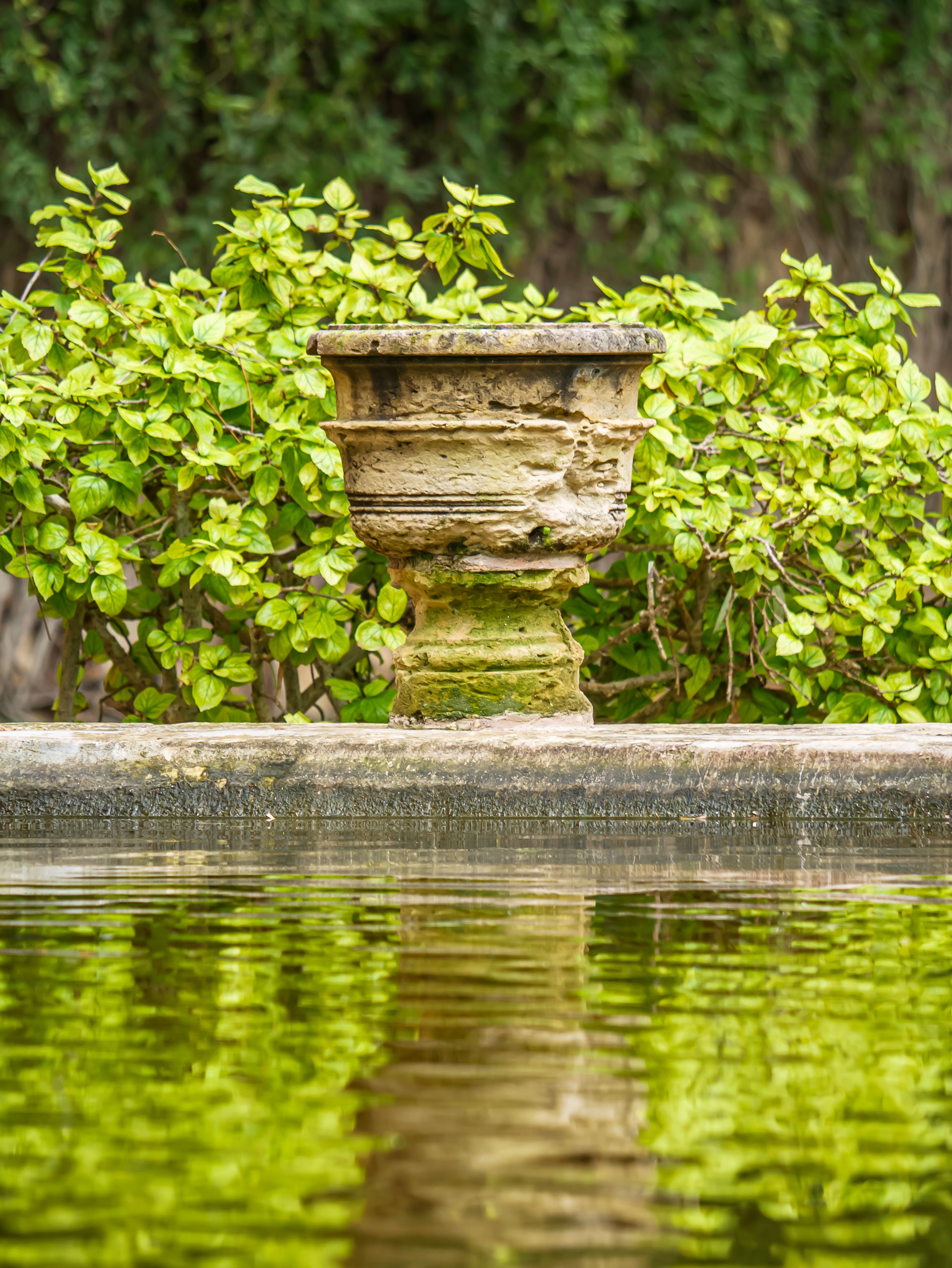 Classic stone urn by a serene reflective pond in a lush green garden.