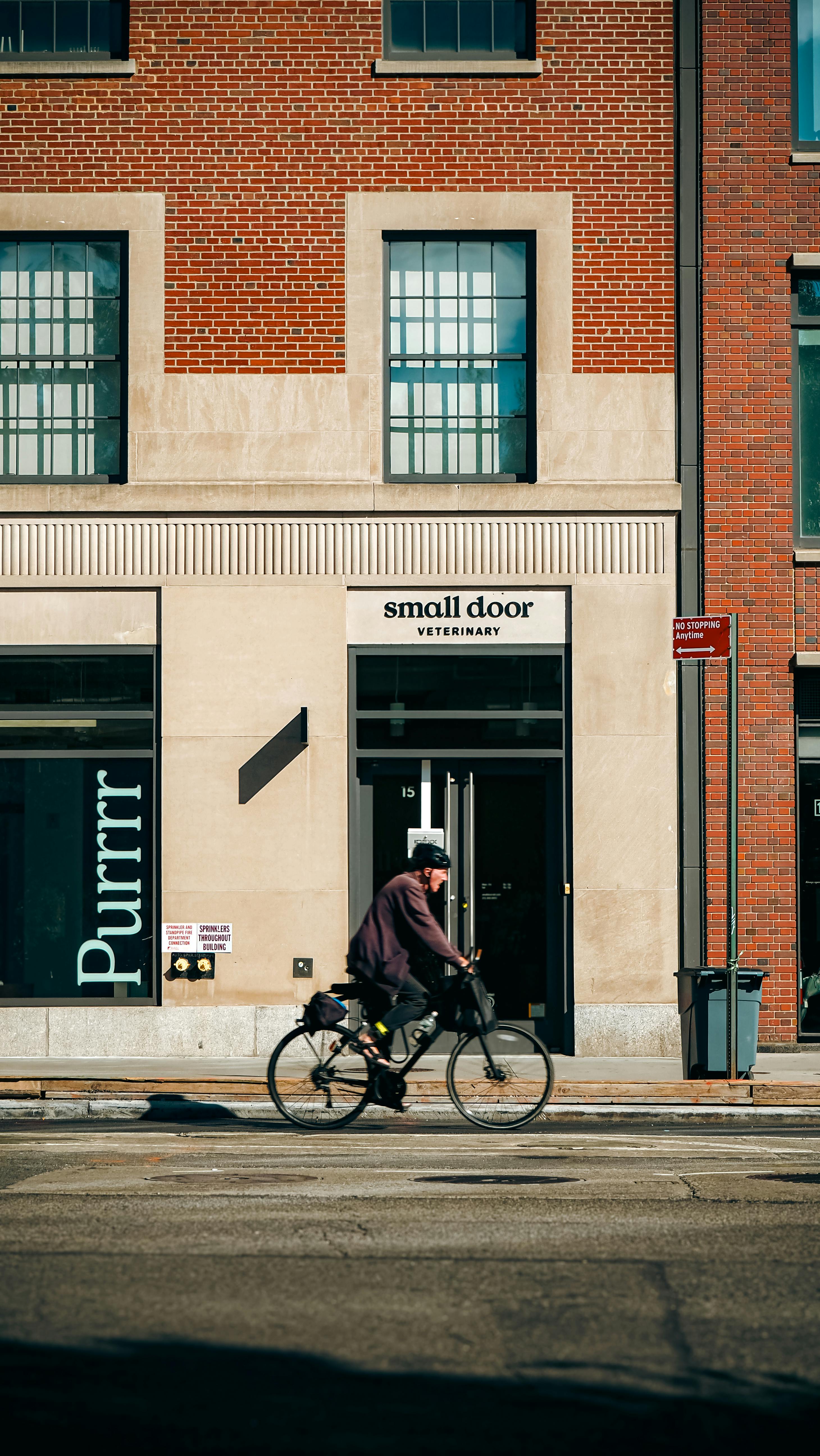 gratis Een man op een fiets passeert op een zonnige dag een dierenkliniek in New York City. Stockfoto