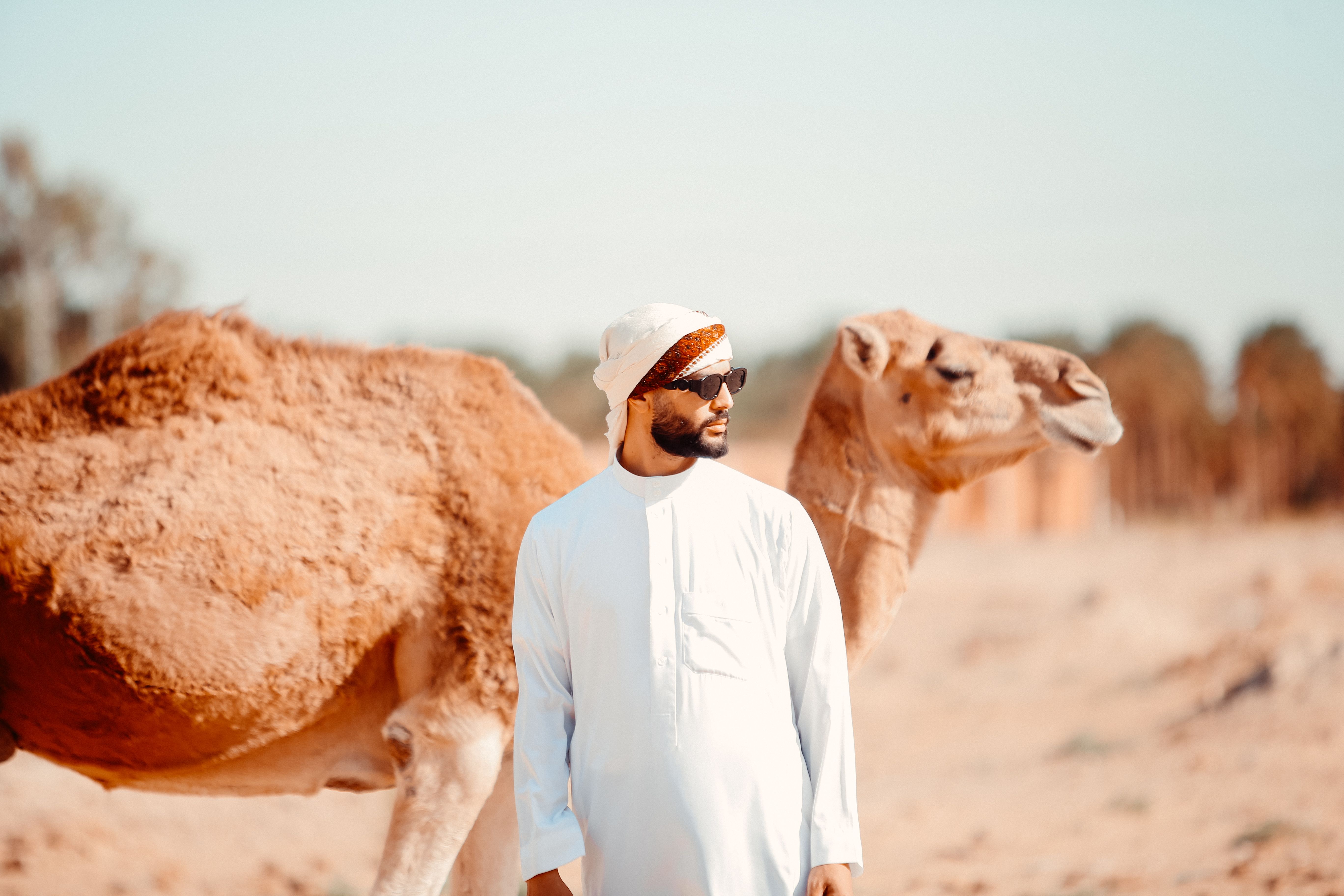 السعودية وقيادة العالم العربي والإسلامي