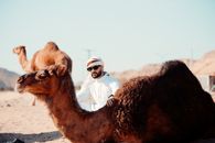 A man in traditional attire posing with camels in a desert landscape.