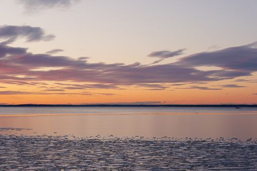 Free Tranquil winter sunrise over icy waters in Stamford, Connecticut with a pastel pink sky. Stock Photo