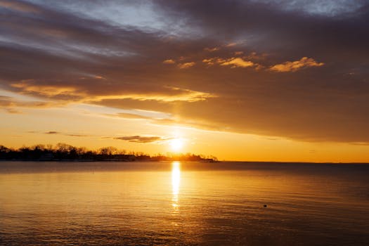 Golden sunrise over Cove Island Park in Stamford, showcasing winter's serene beauty.