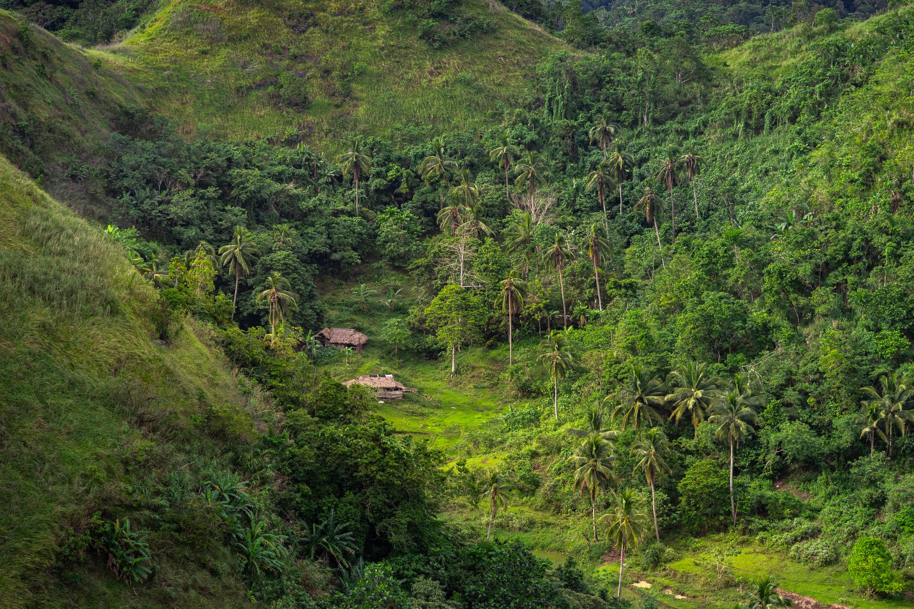 Explore the serene beauty of a lush green valley with traditional nipa huts in Camalig, Bicol, Philippines.