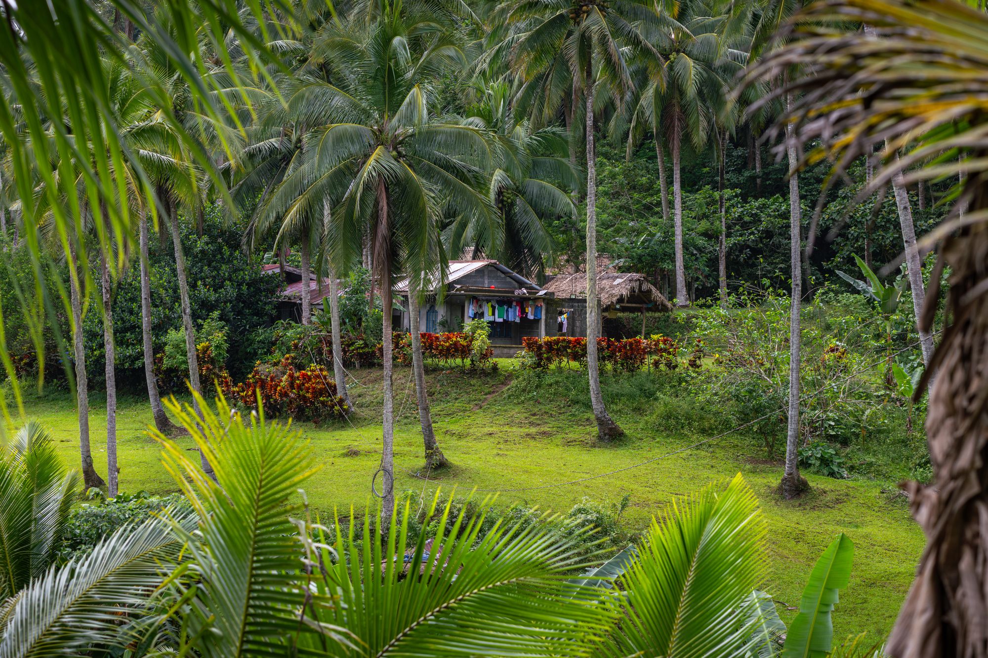 Surigao