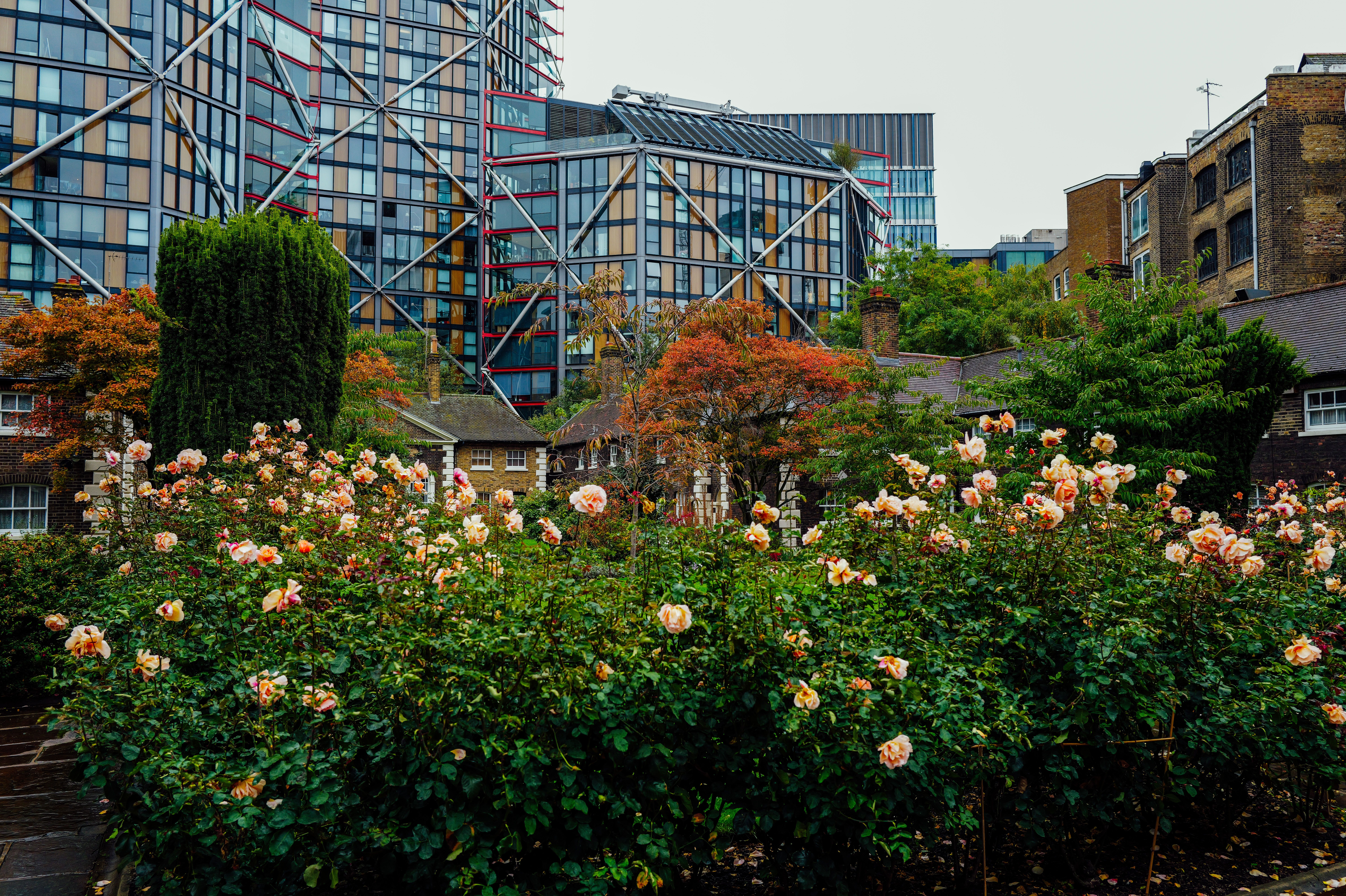 Flower Delivery in Sweden: Neighborhoods and Tips