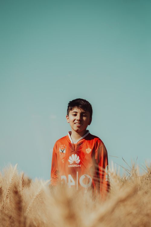 Free Young boy smiling in a golden wheat field under a clear blue sky in Egypt. Stock Photo
