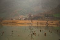 Serene Foggy Landscape with Reflections