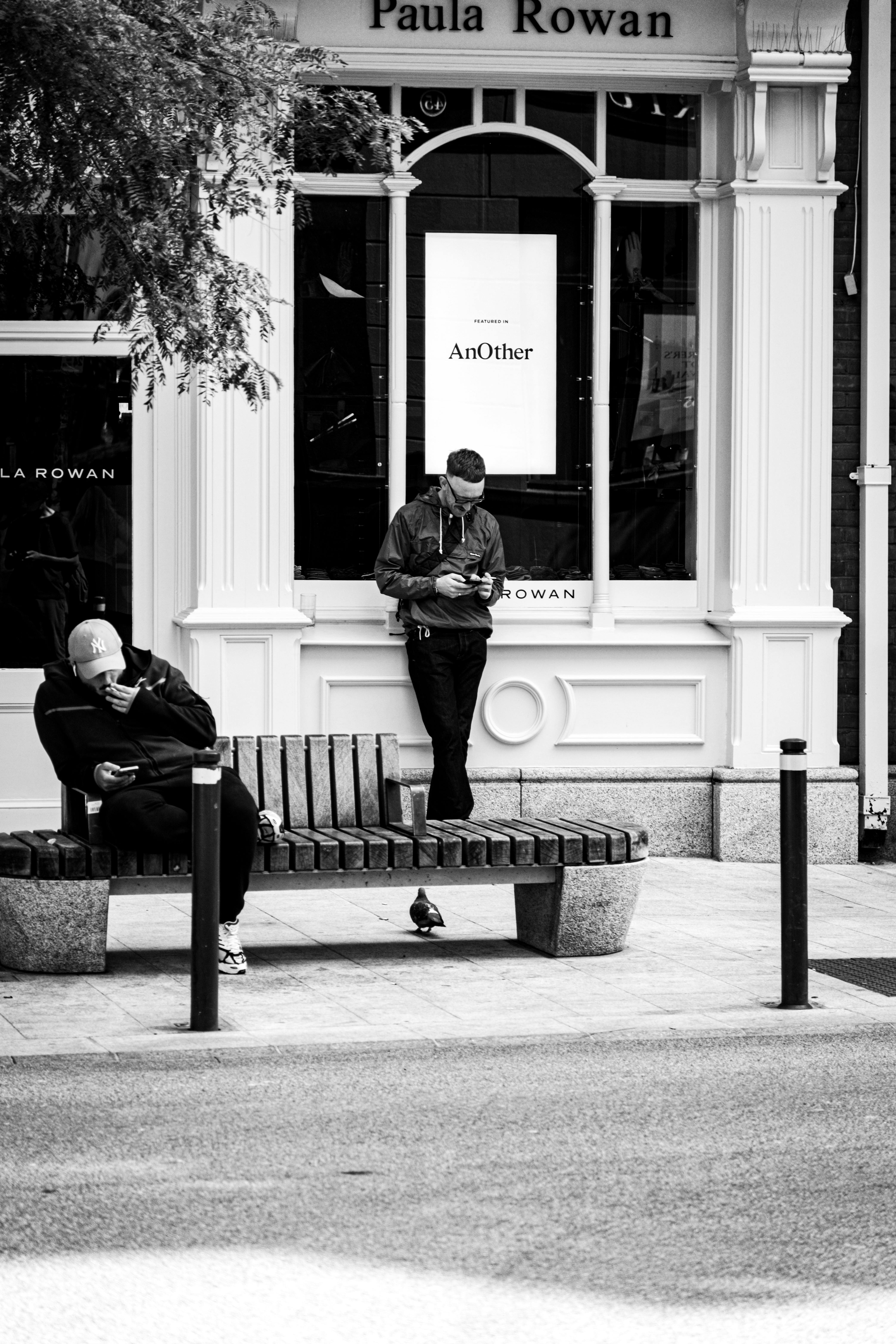 無料 アイルランド, ウィンドウ表示, カジュアルウェアーの無料の写真素材 写真素材