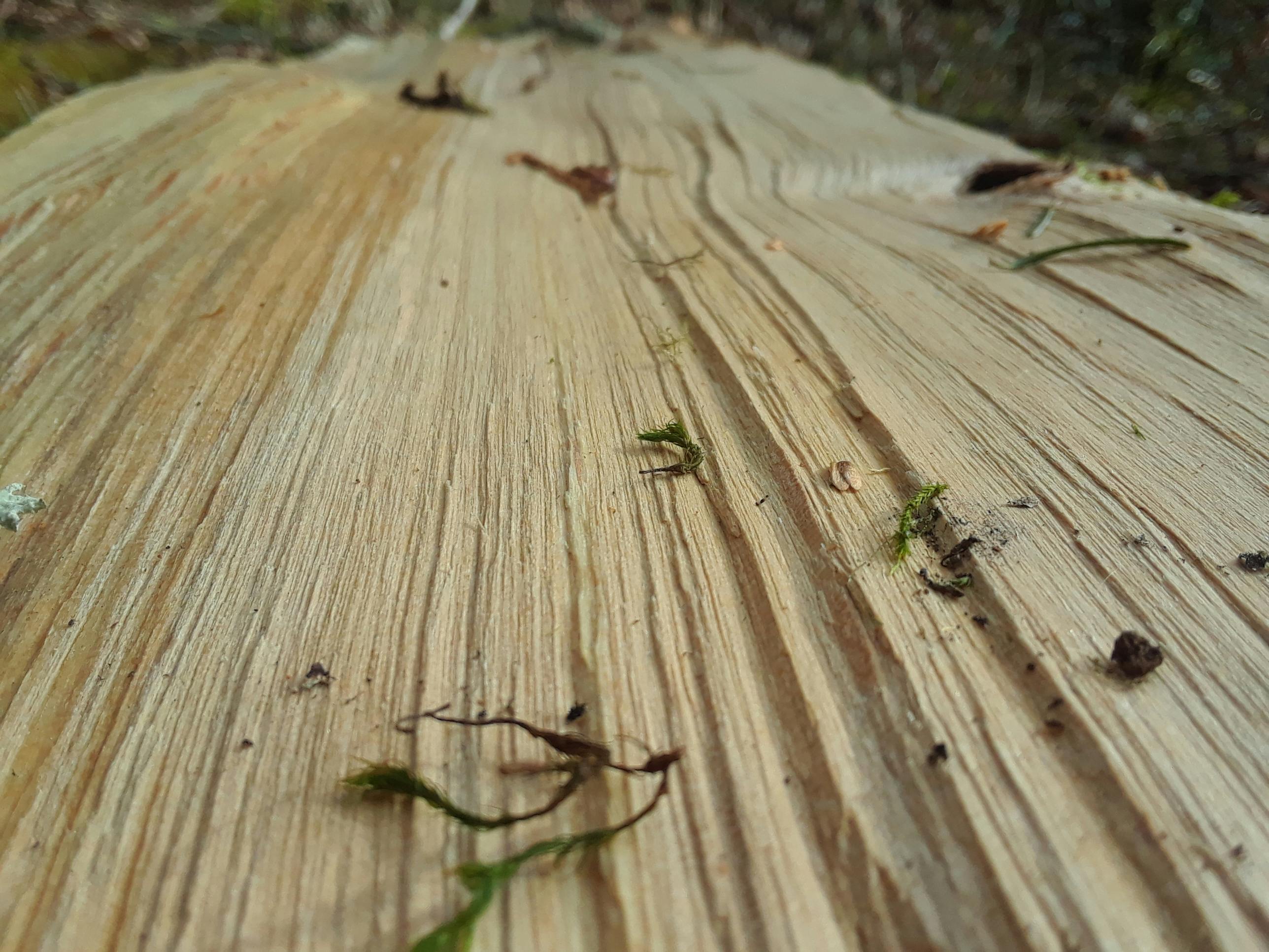 Close-up view of a baseball in a glove on the field under stadium lights