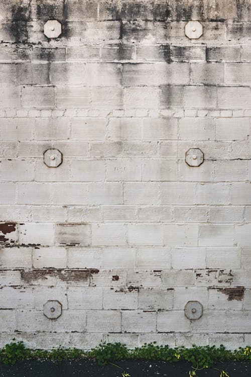 Ücretsiz Beyaz Beton Duvar Stok Fotoğraflar