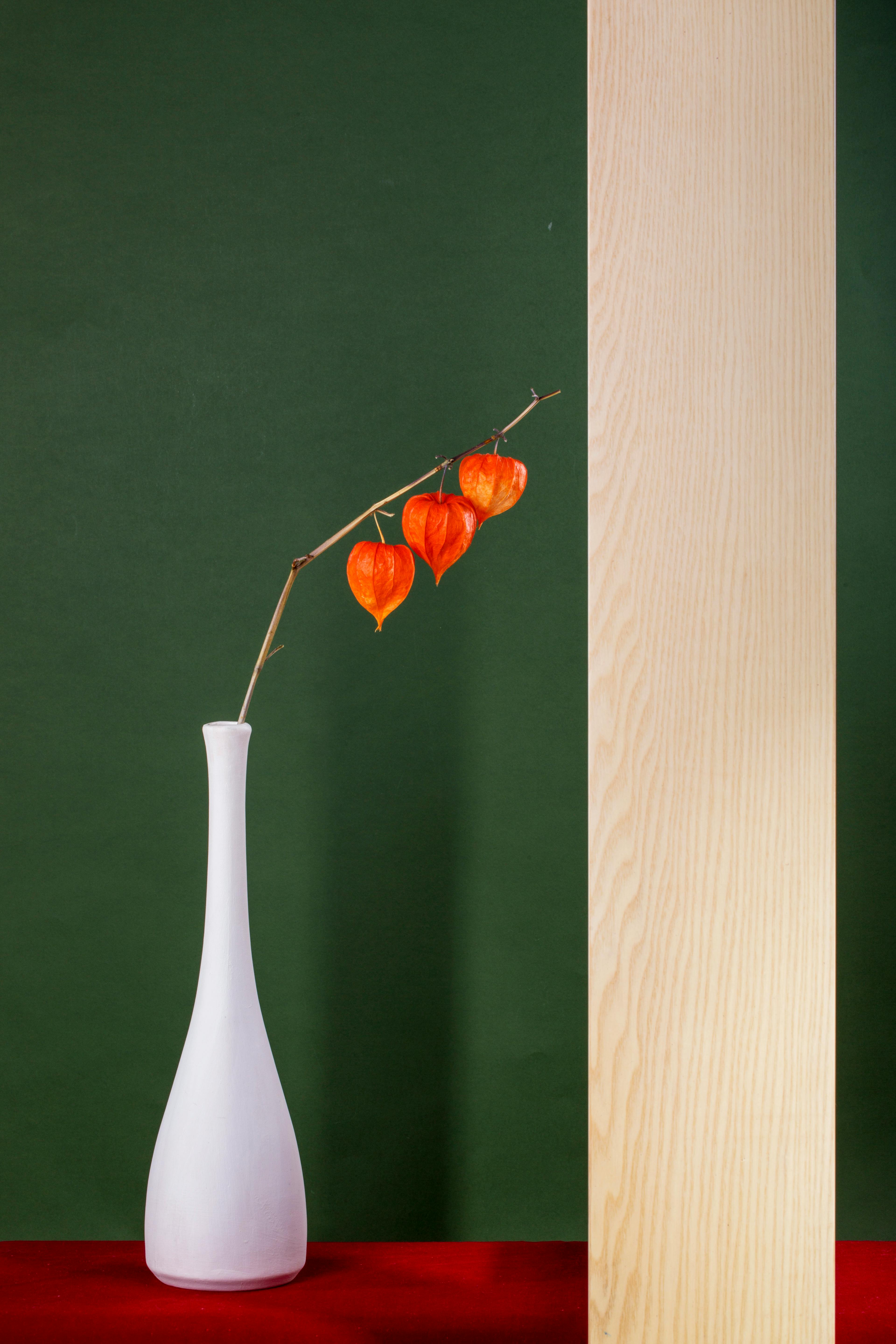 Gratis Elegante composizione minimalista con un vaso bianco con fiori di lanterna arancioni su uno sfondo verde. Foto a disposizione