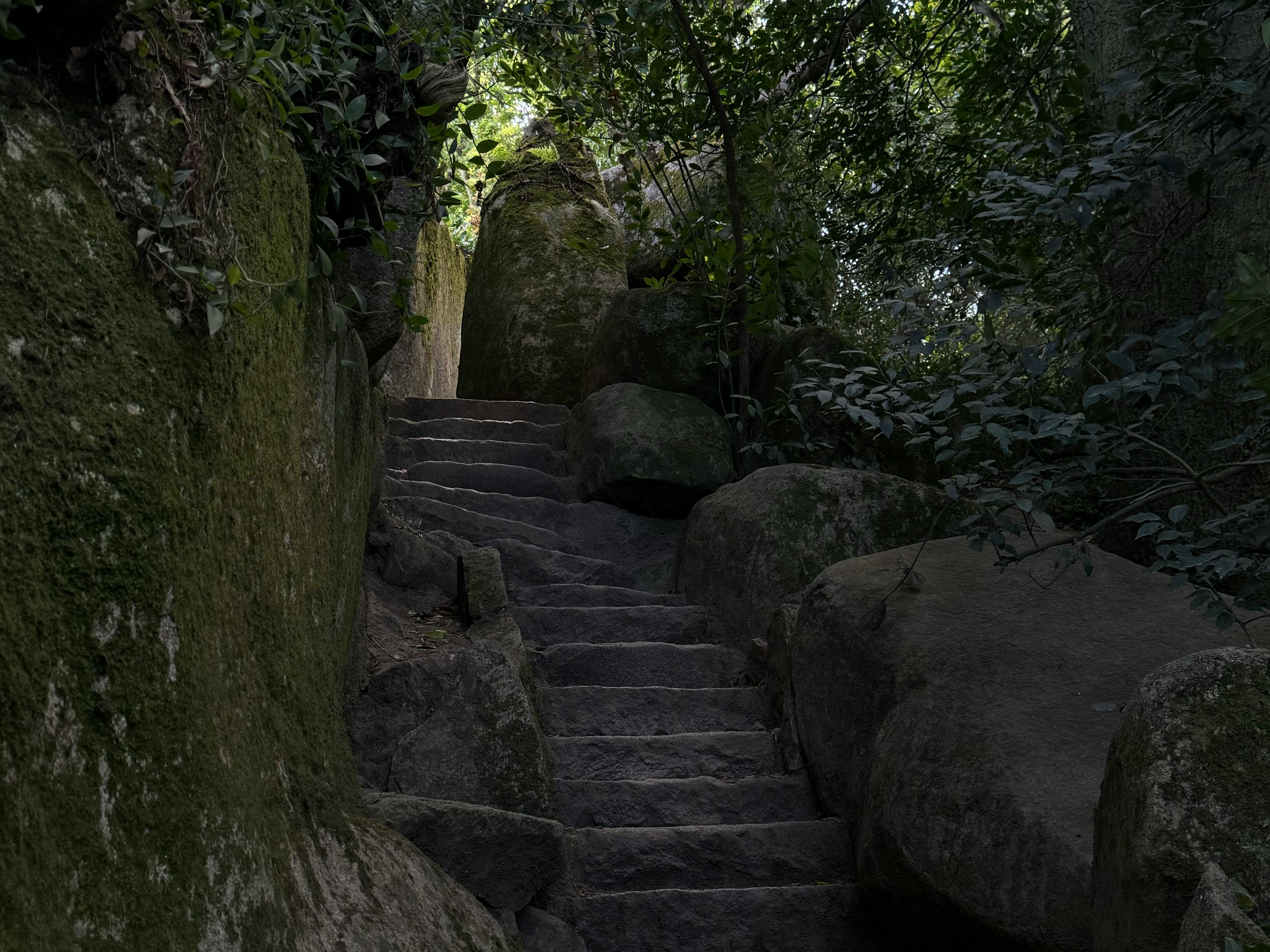 Miễn phí Ảnh lưu trữ miễn phí về ánh sáng tự nhiên, bạc hà, bậc thang đá Ảnh lưu trữ