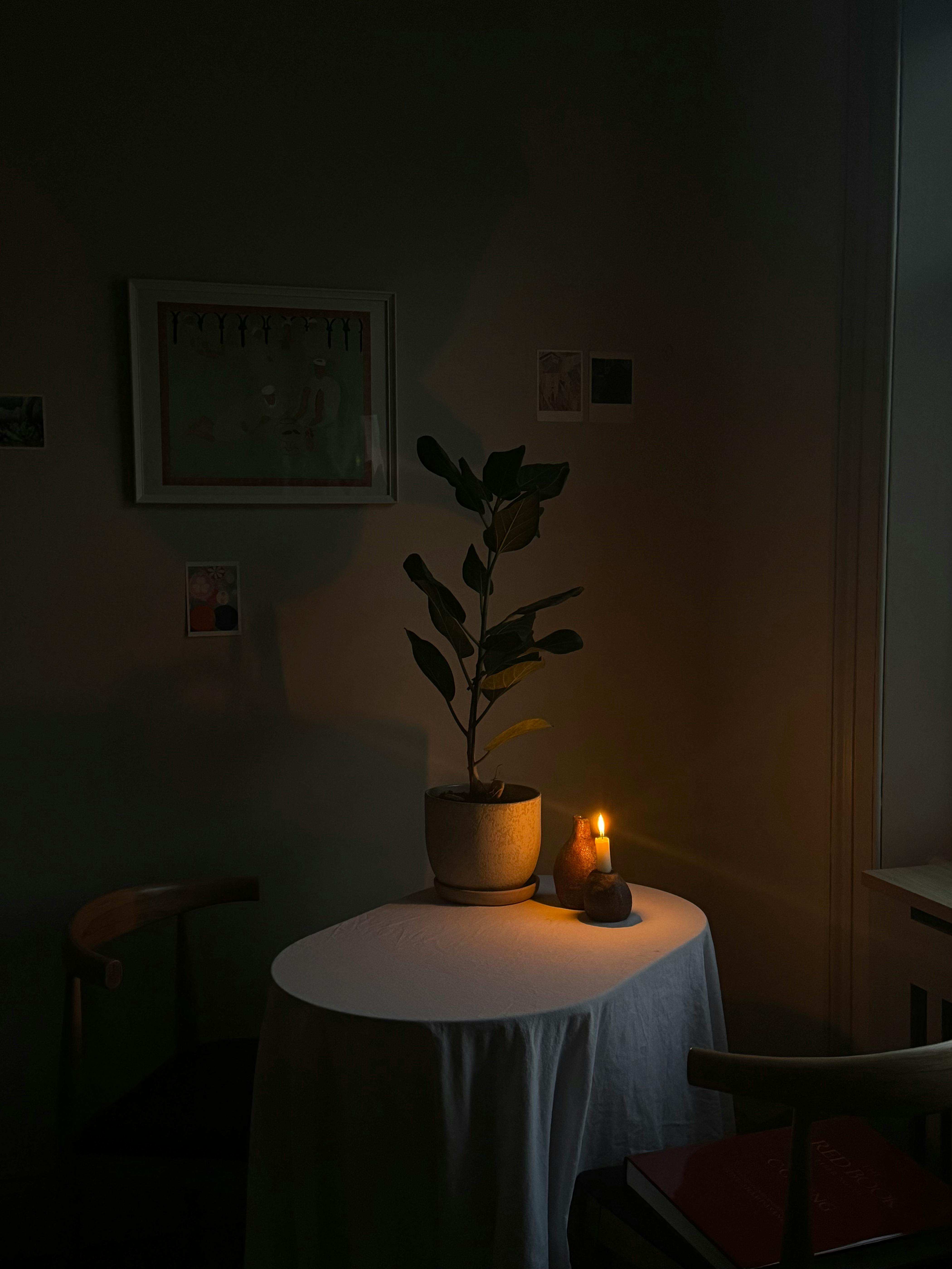 Δωρεάν Ζεστή γωνιά υπό το φως των κεριών με ένα φυτό φίκος σε μινιμαλιστικό περιβάλλον τραπεζαρίας, που δημιουργεί μια γαλήνια ατμόσφαιρα. Φωτογραφία από στοκ φωτογραφιών