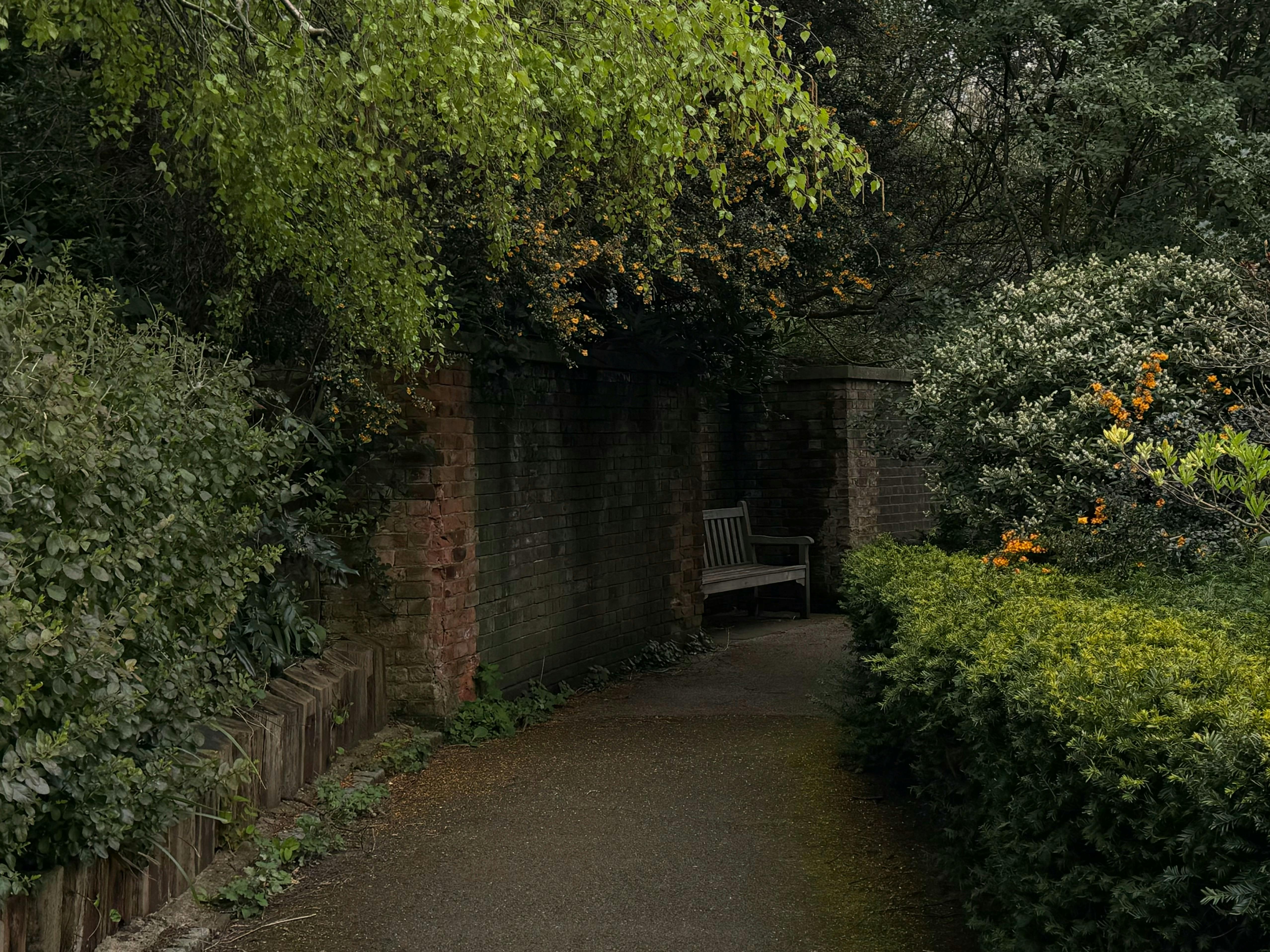 Bezpłatne Spokojna ogrodowa ścieżka z bujną zielenią i drewnianą ławką, idealna do relaksu. Zdjęcie z galerii