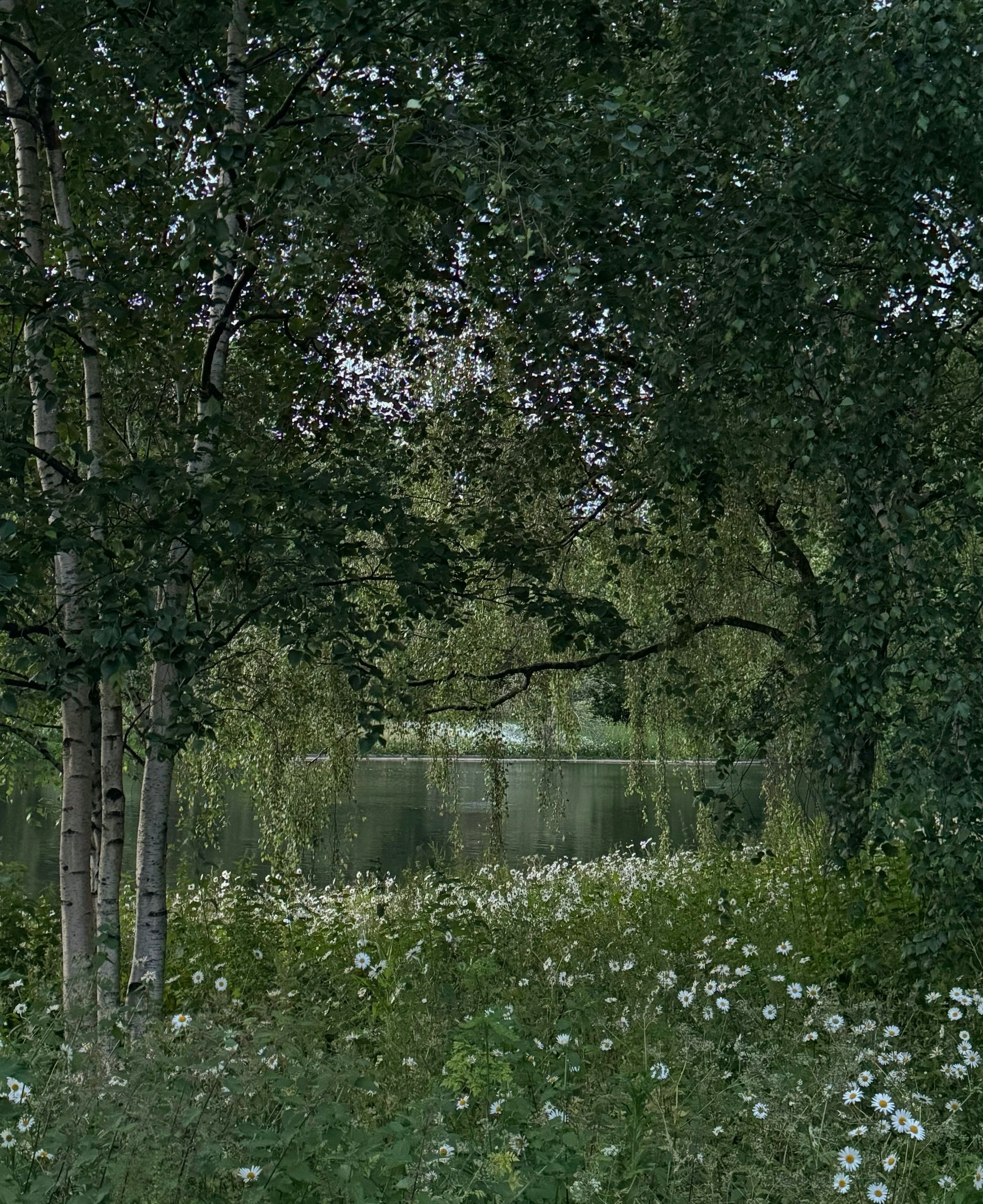 Peaceful landscape featuring lush greenery and a tranquil lake view, ideal for nature enthusiasts.