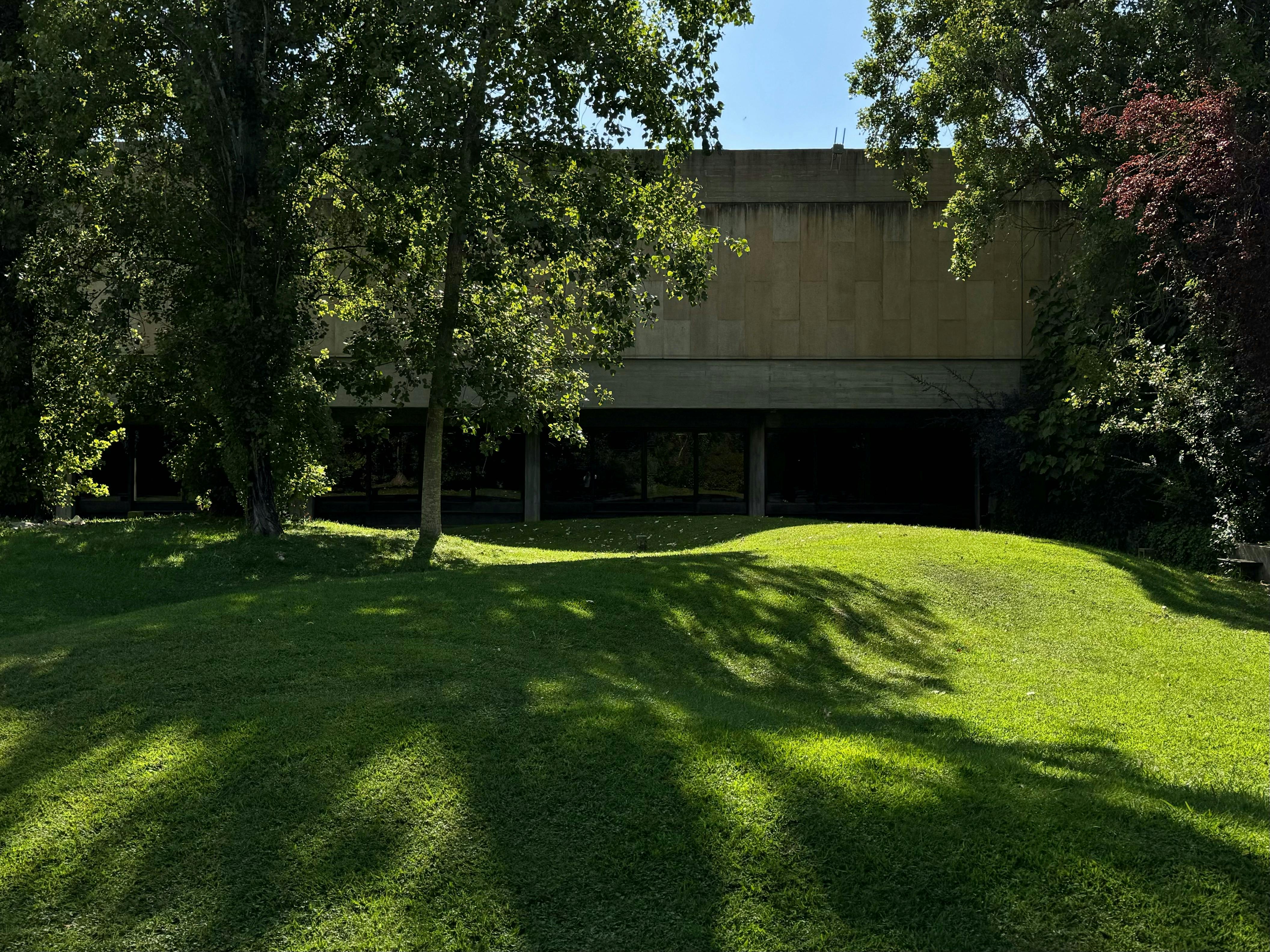 Gratis Un edificio moderno circondato da alberi rigogliosi e da un prato soleggiato, che enfatizza la tranquillità. Foto a disposizione