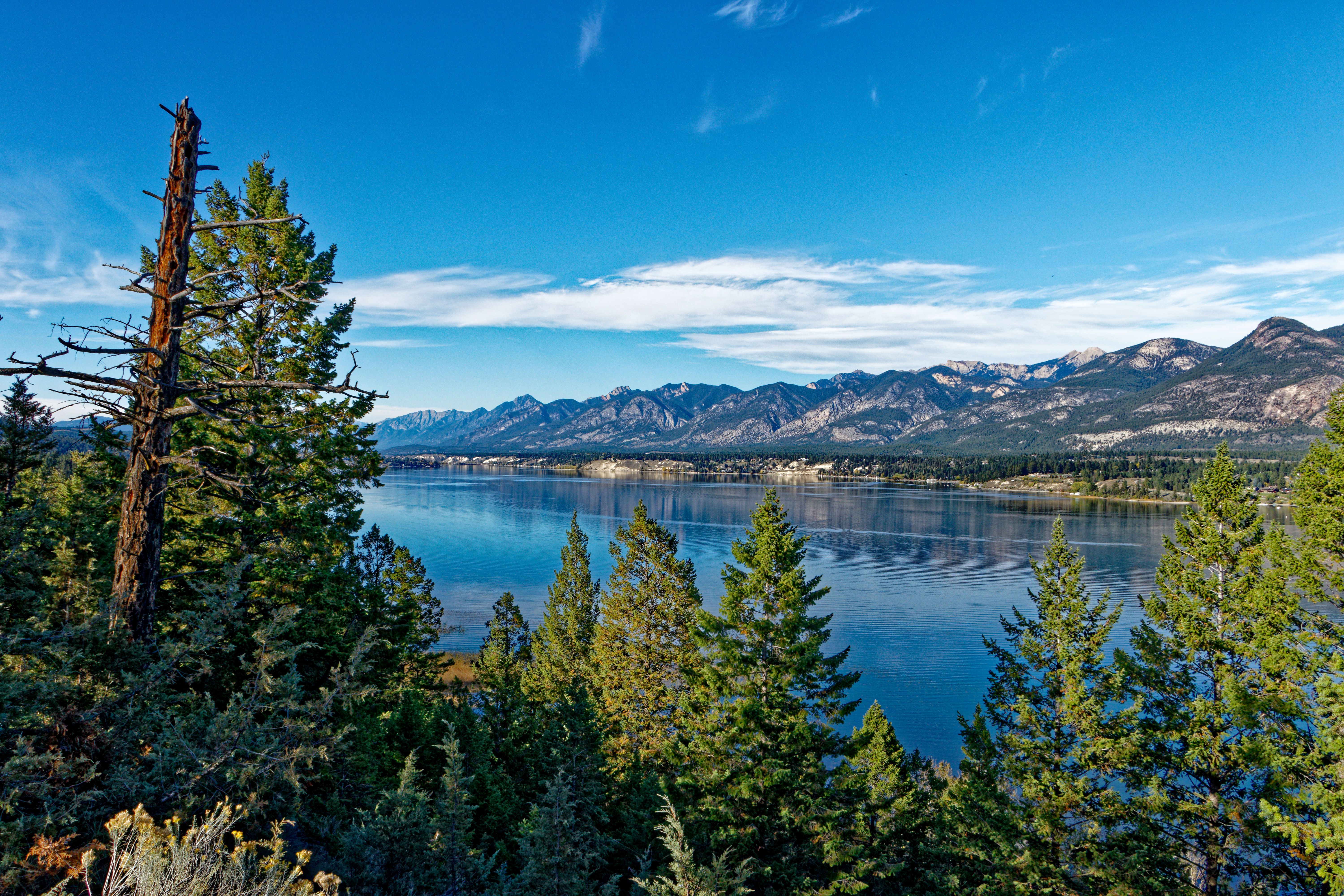 Beautiful lake and mountain landscape in British Columbia, showcasing lush greenery and clear blue skies.