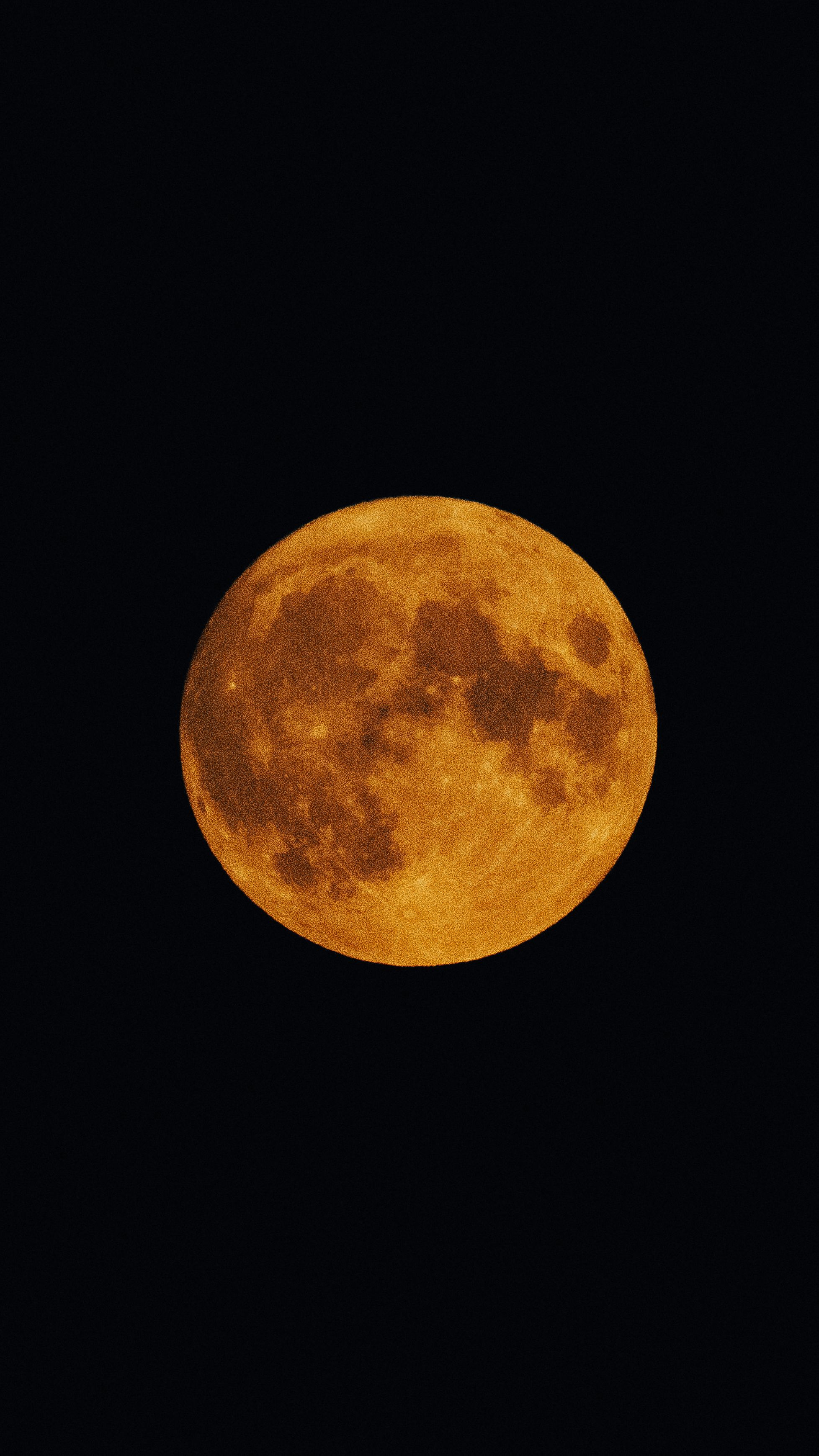 A Full Moon in the Night Sky · Free Stock Photo