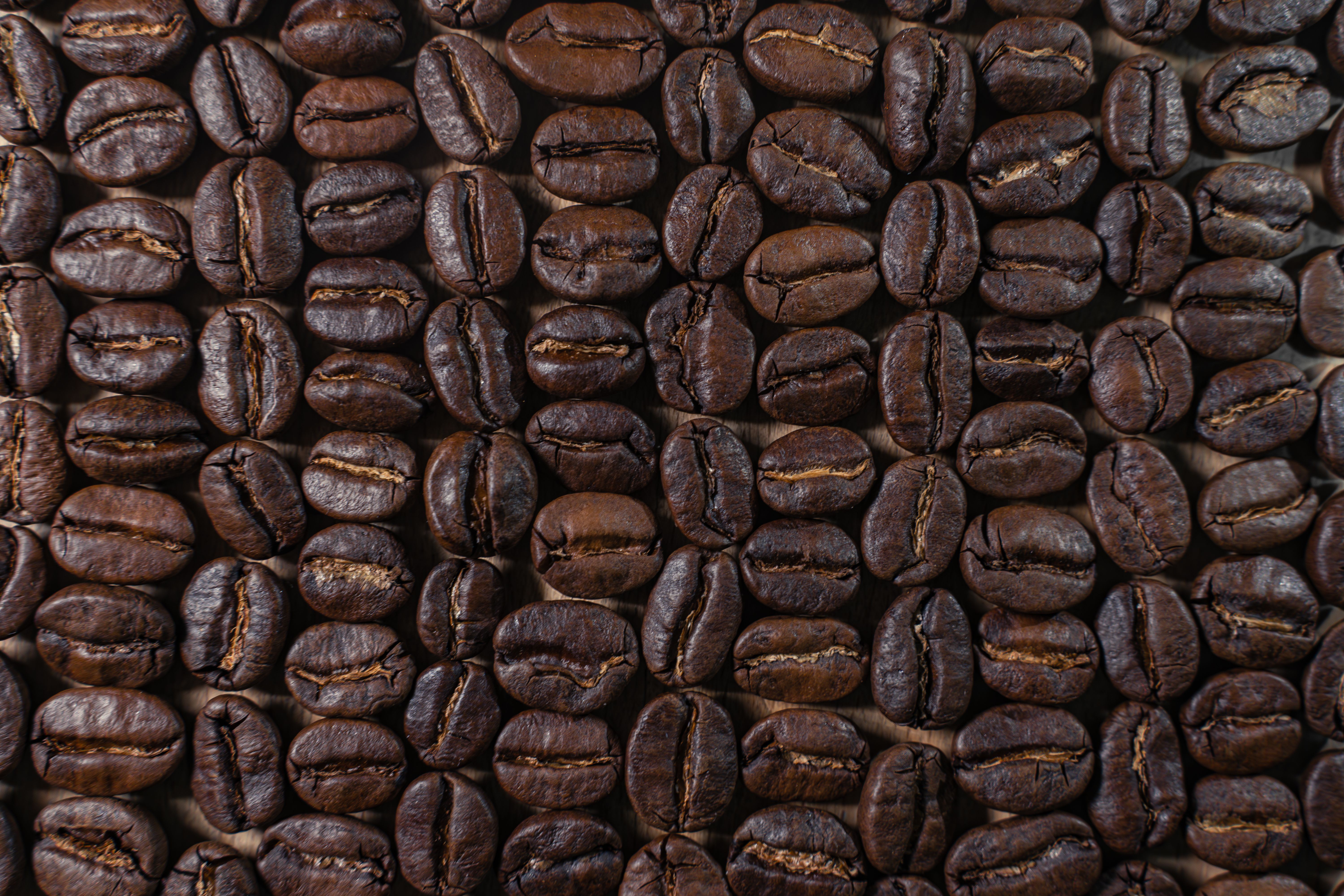 Origin and Cultivation of Arabica and Robusta