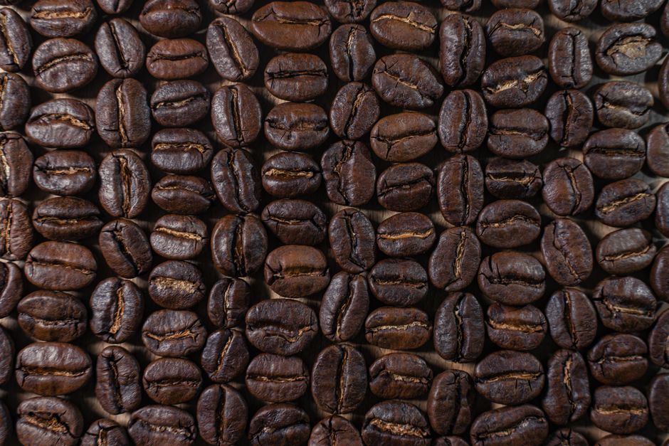 Origin and Cultivation of Arabica and Robusta