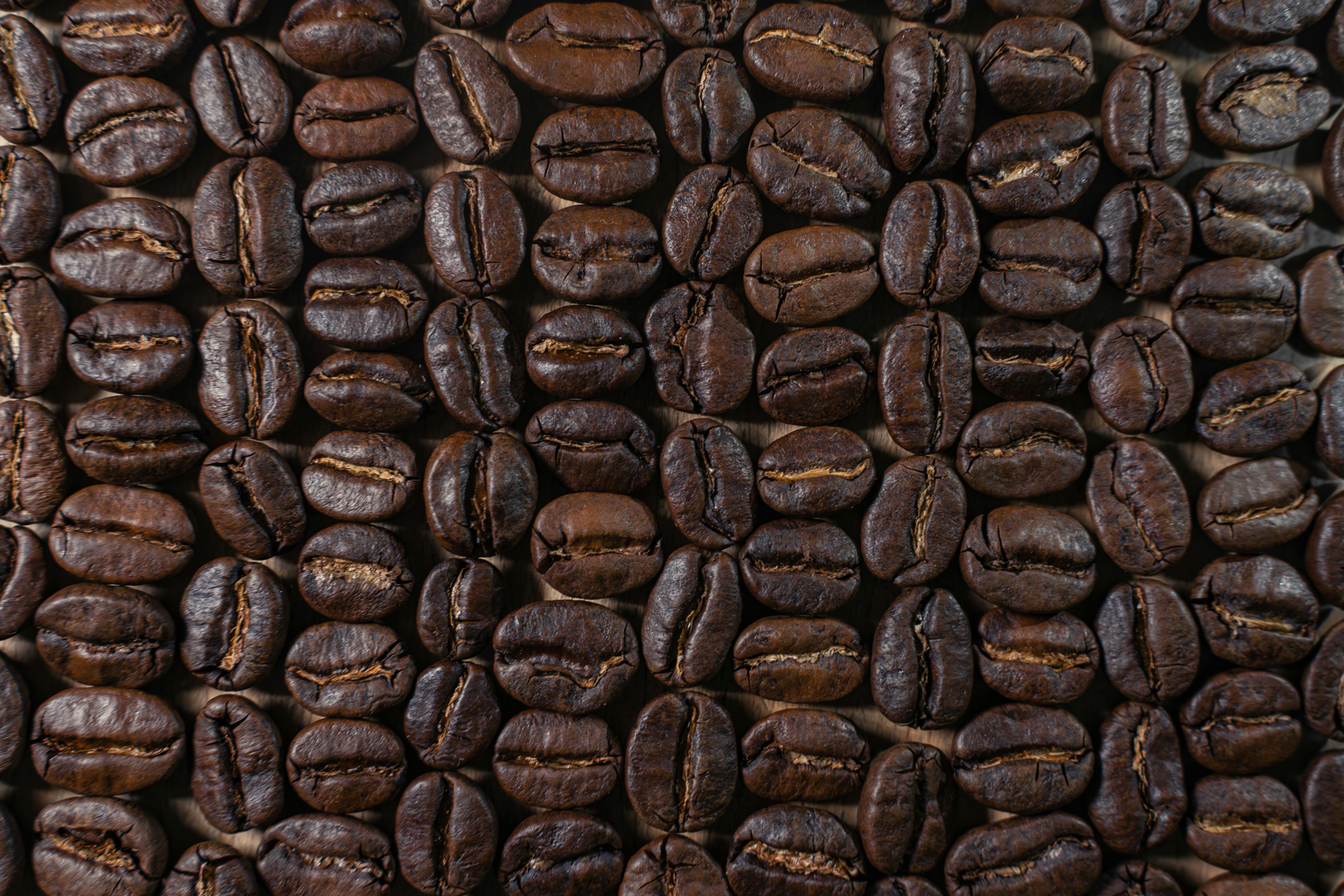 Roasted coffee beans close-up showing texture and roast color variation