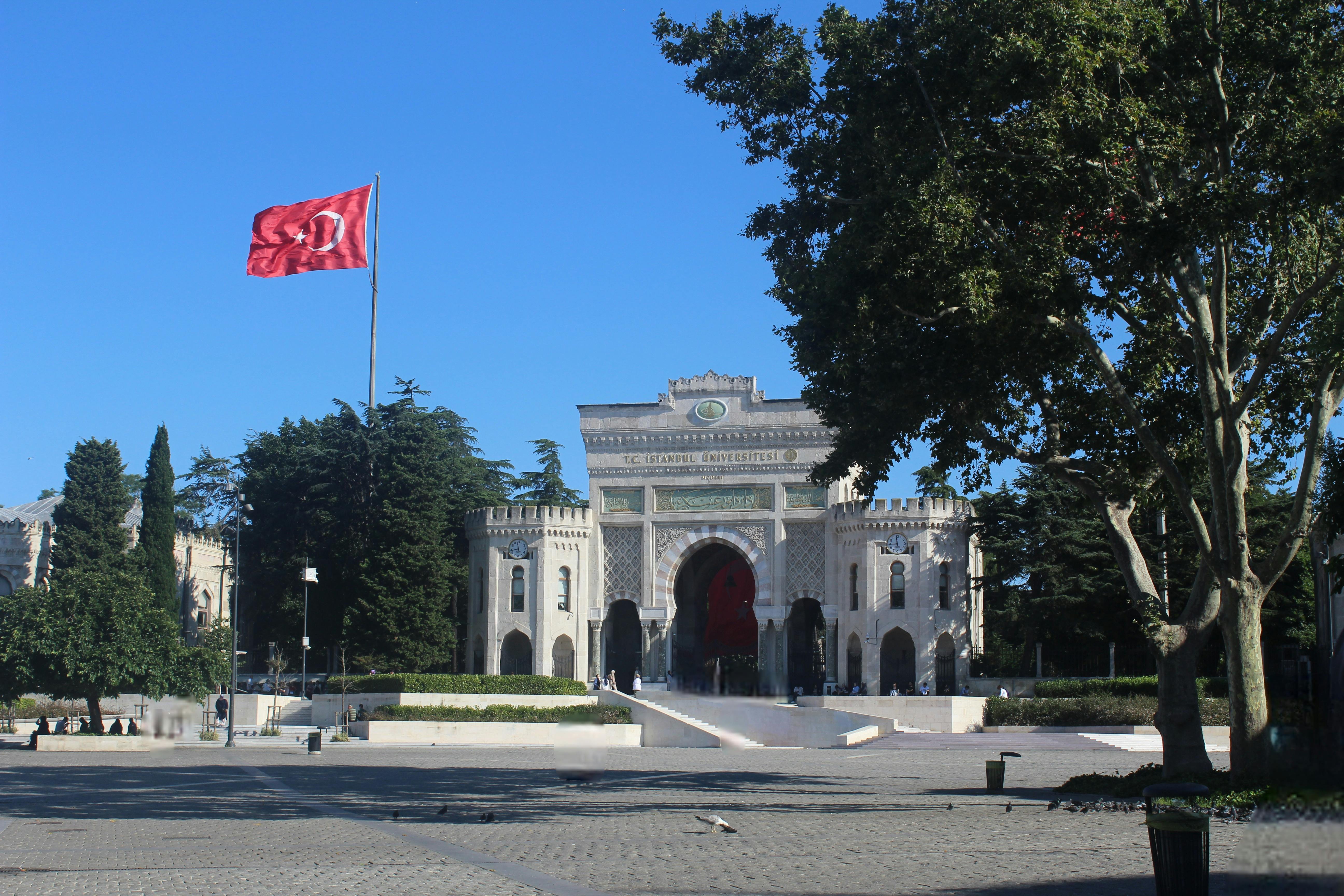 UP Open University opens 28 free online courses — Photo by betül  aymergen on Pexels