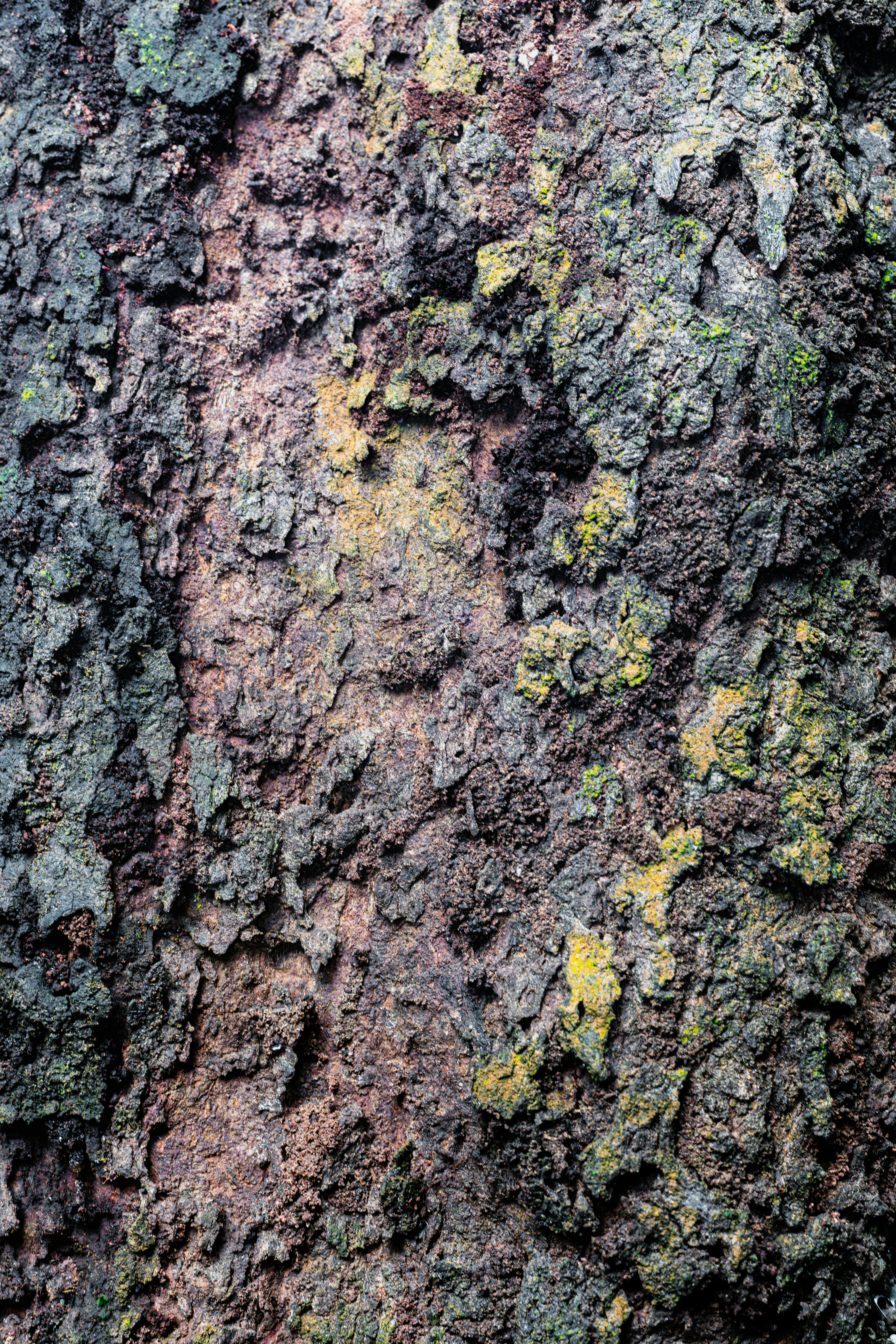 Zadarmo Fotobanka s bezplatnými fotkami na tému abstraktná príroda, abstraktný, Ázia Fotka z fotobanky