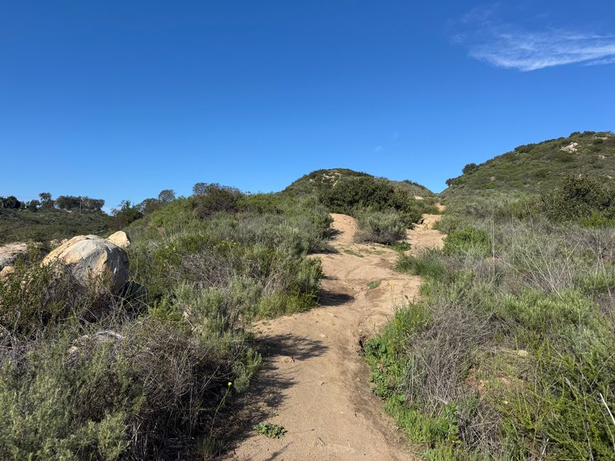 Guided Wildflower Hike at Harmon Canyon