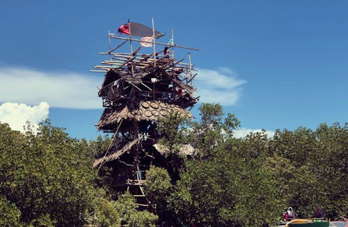 Free stock photo of mangroves, tree house