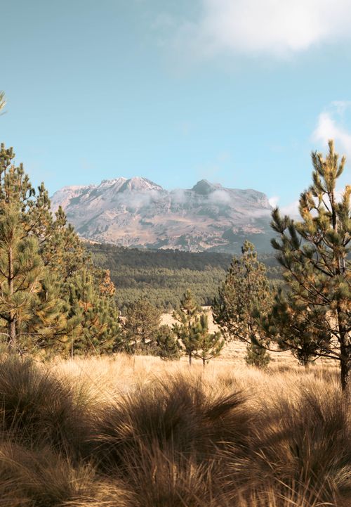 Free Tranquil mountain landscape with trees and clear sky, ideal for nature lovers. Stock Photo