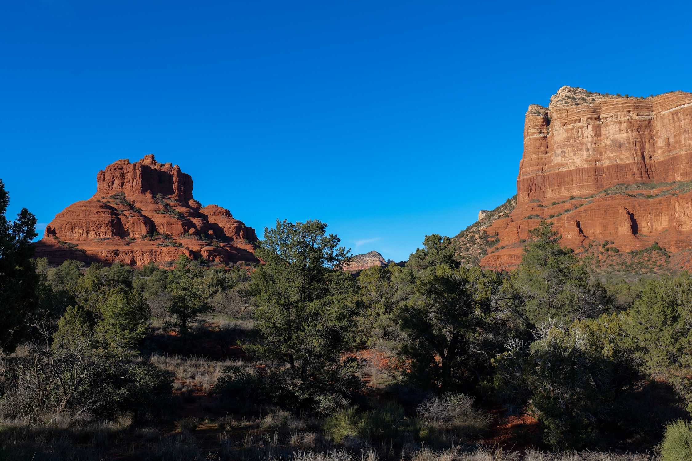 Explore the stunning red rock formations in Arizona's desert landscape under a clear blue sky.