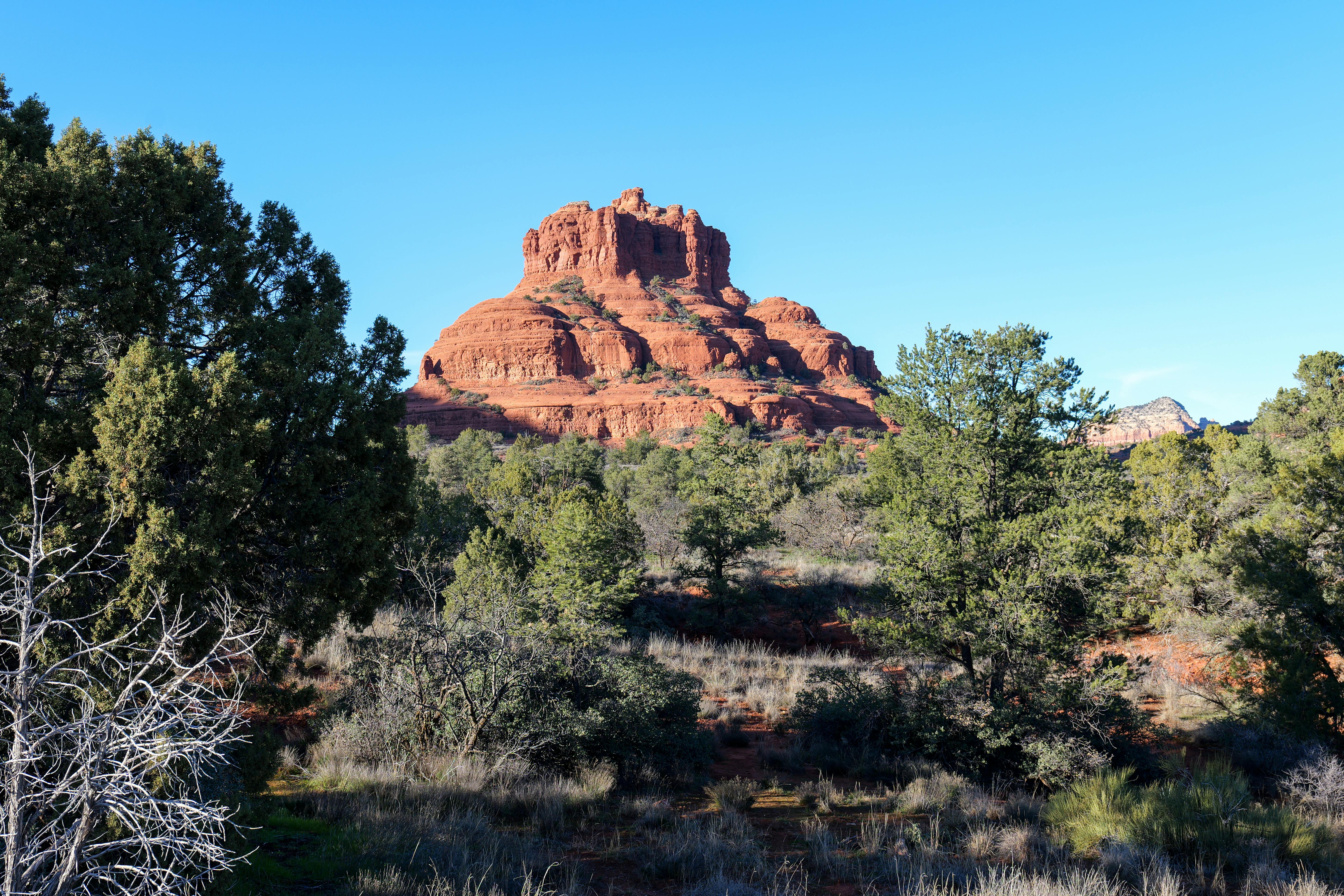 Scenic view of Bell Rock surrounded by trees in Sedona, Arizona under clear blue sky.