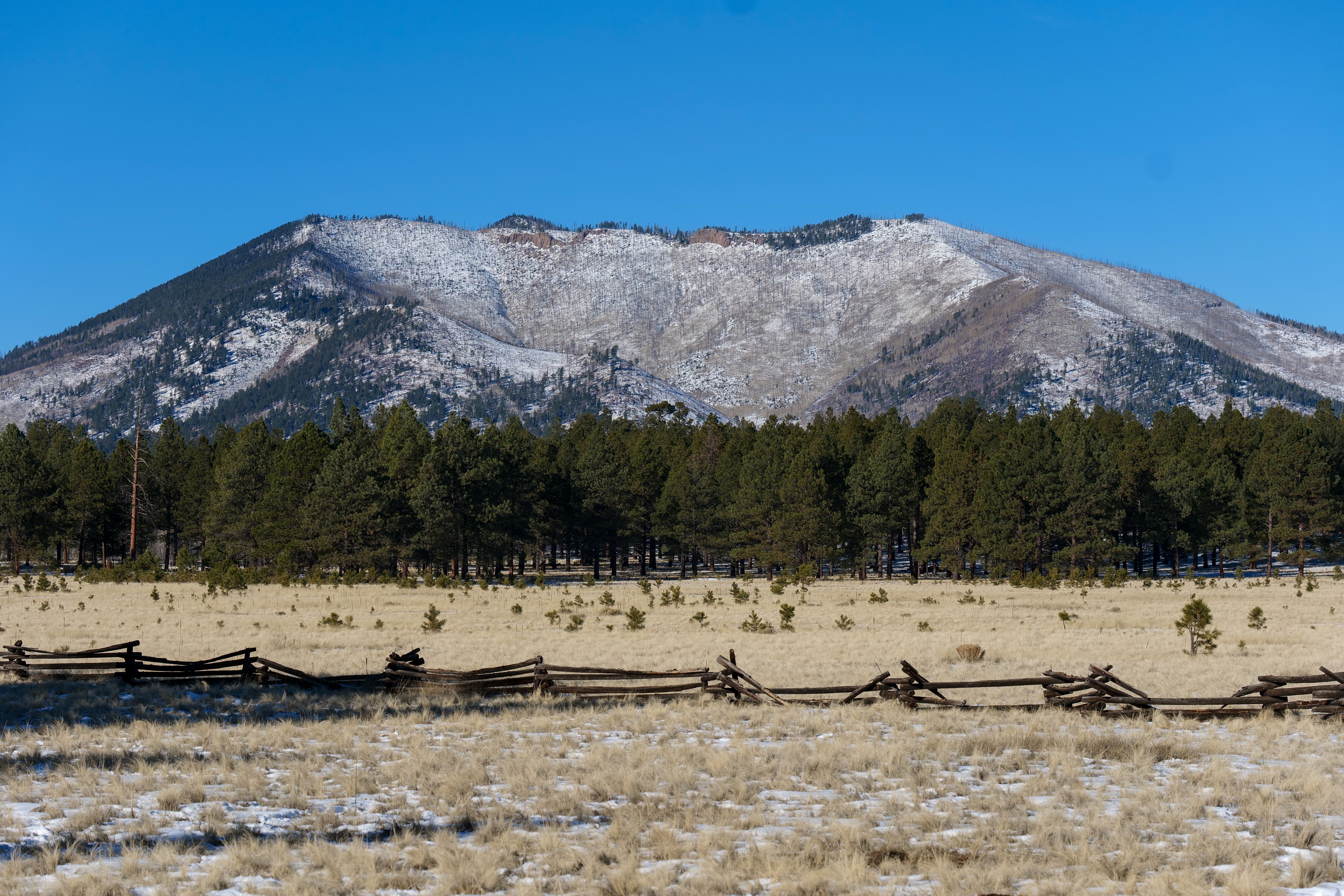 SEO For Fencing Contractors in Phoenix, AZ