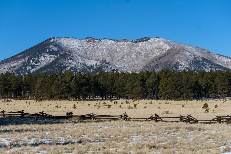 SEO For Fencing Contractors in Phoenix, AZ SEO For Fencing Contractors in Phoenix, AZ