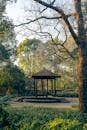 Serene Pavilion in Nanjing's Lush Park