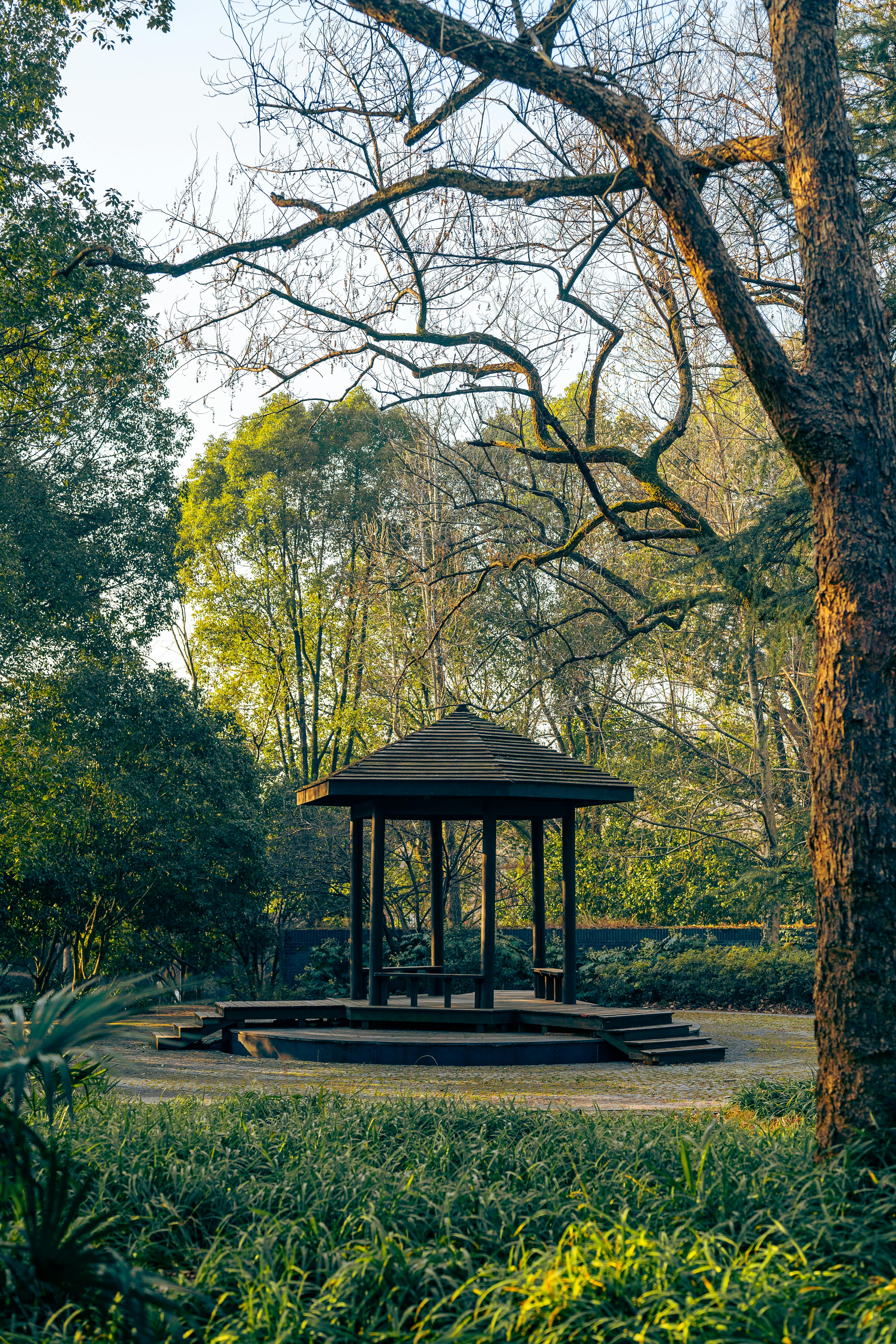 Serene Pavilion in Nanjing's Lush Park