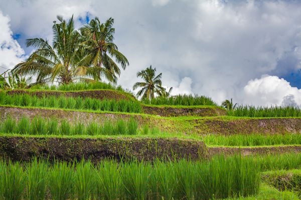Bali 2 Nights - Destinations