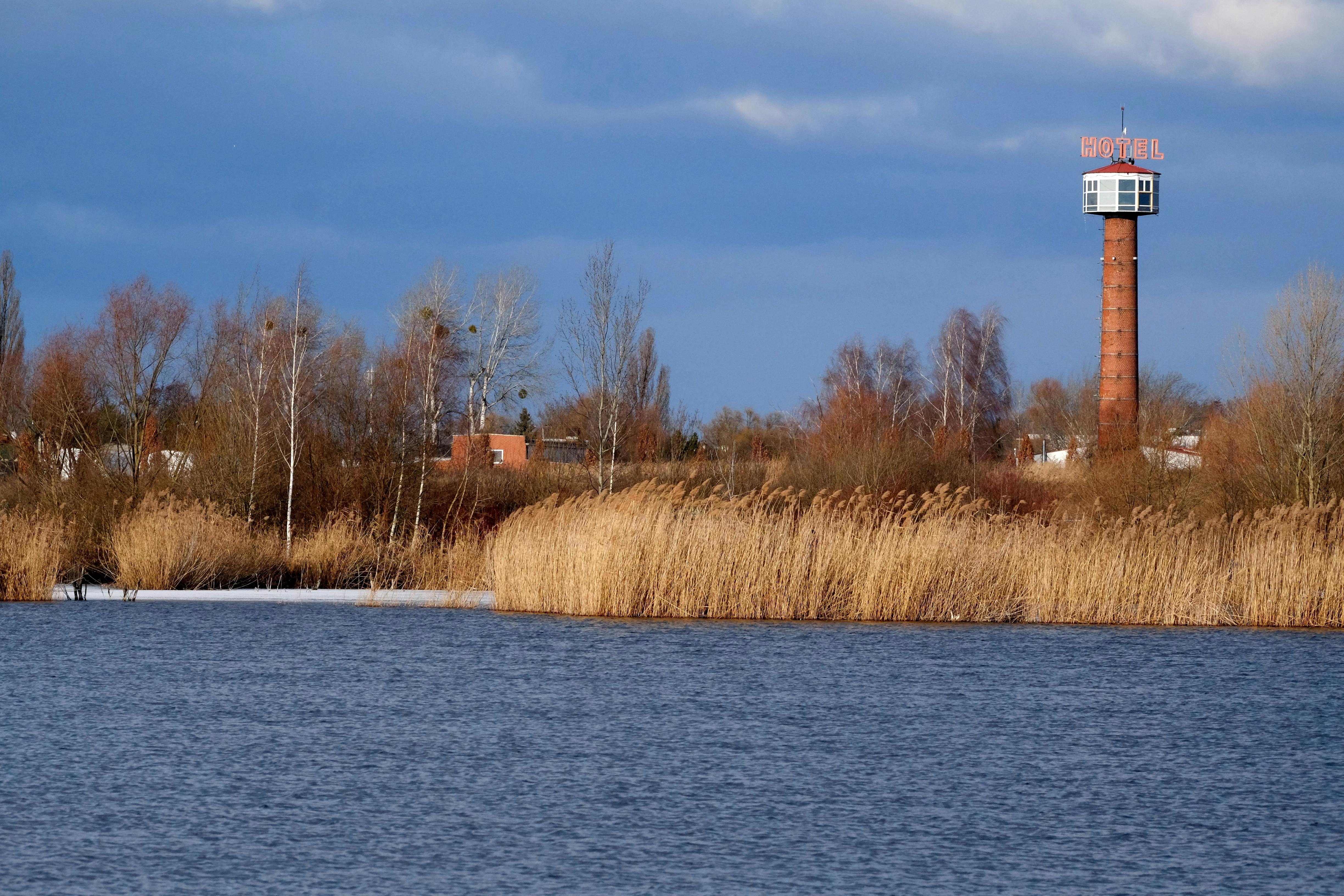 ingyenes Őszi kilátás egy tópartra egy magas szállodatoronnyal és a környező nádassal. Stockfotó