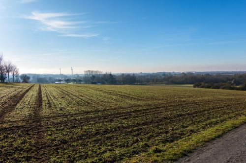 Free A serene winter landscape in Coesfeld, Germany showcasing a green field under a clear blue sky. Stock Photo