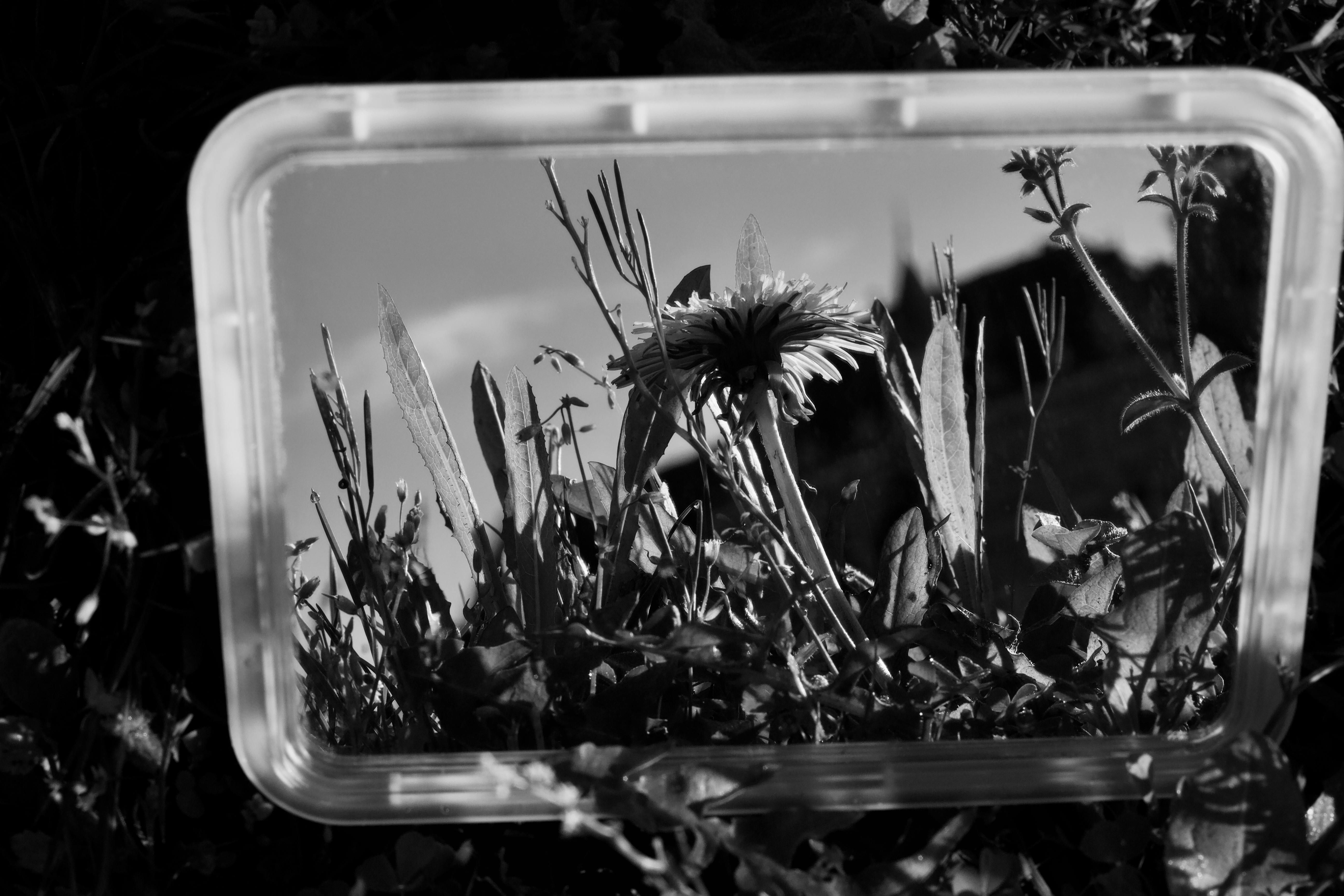 8 Best AI Image Generators in 2026 - Top Tools for Visuals