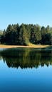 Serene Forest Reflection at Giresun Lake